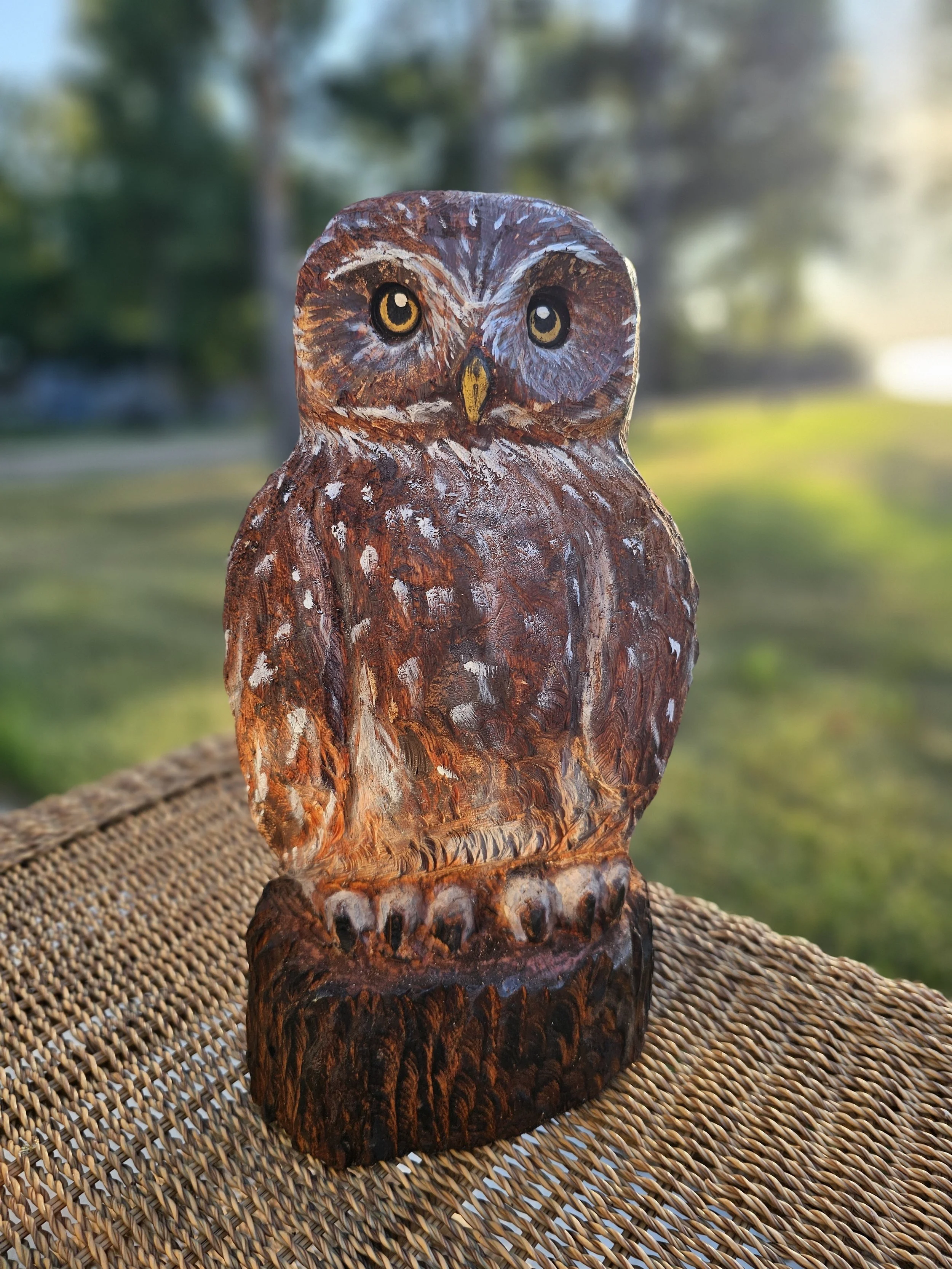 Owl