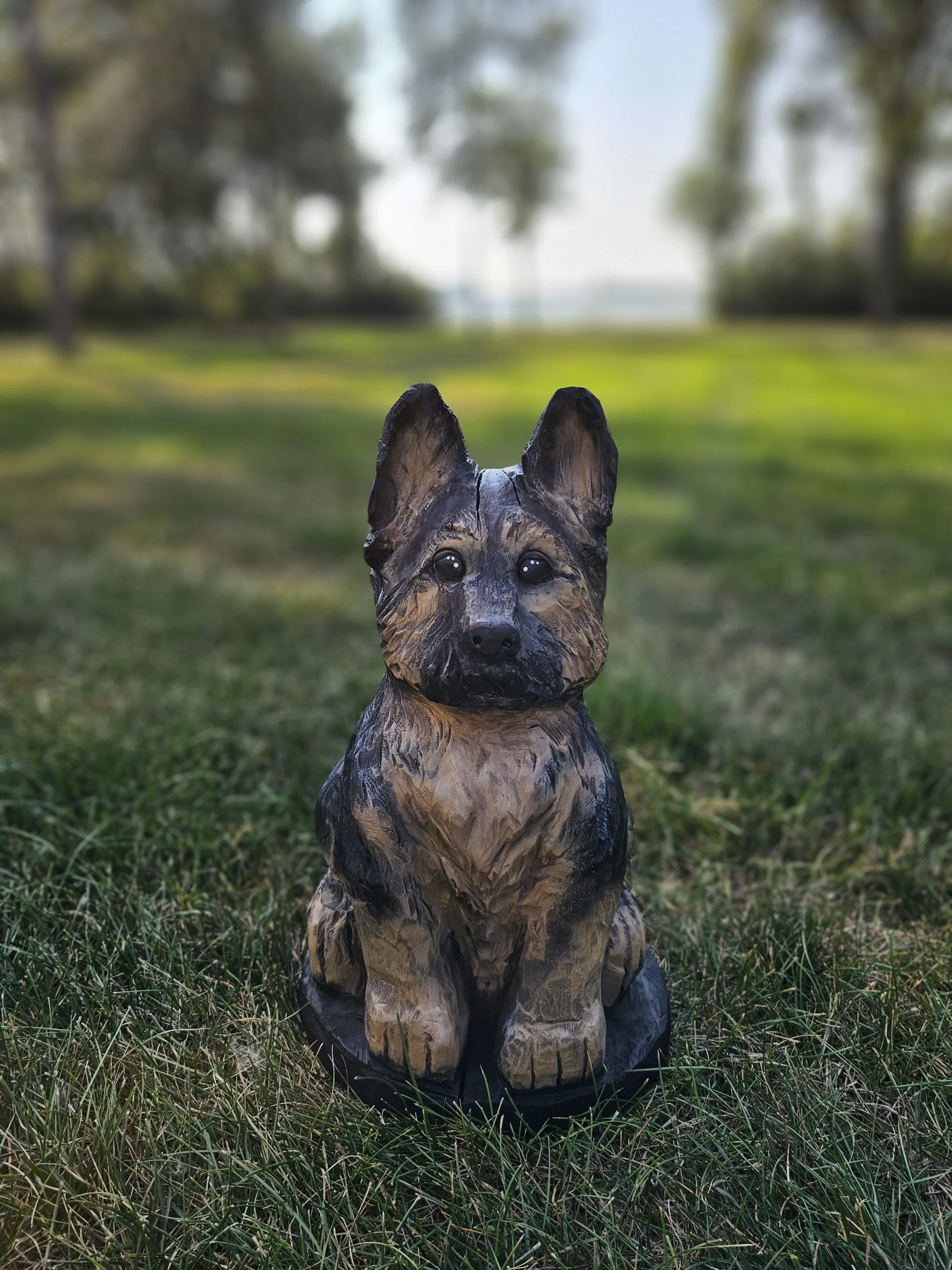 German Shepherd