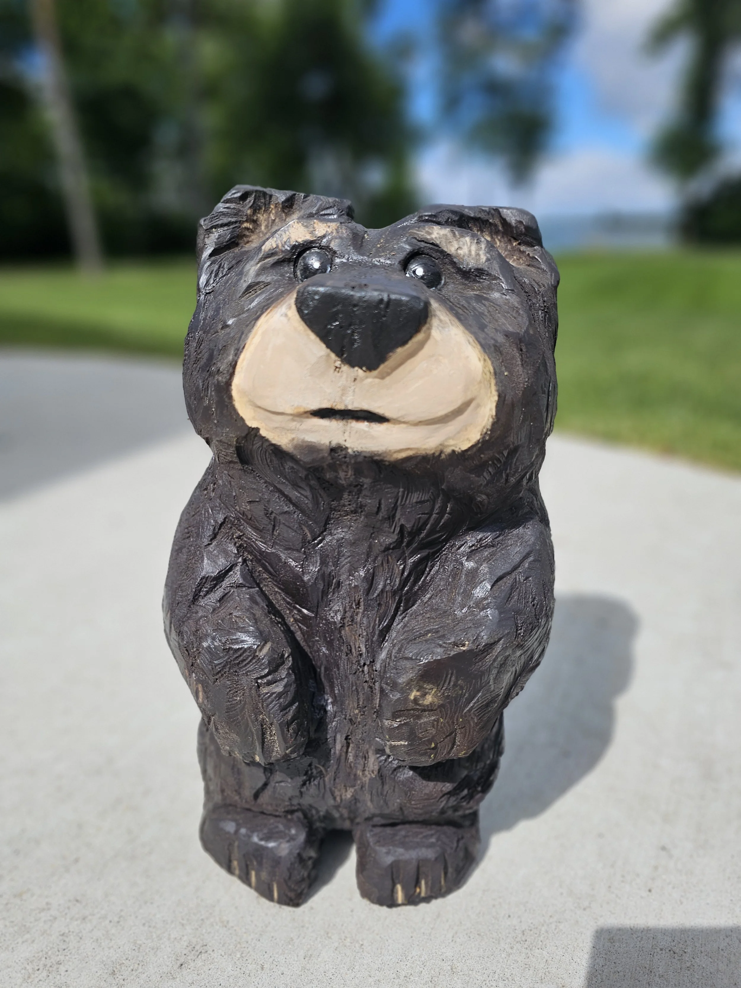Brown Bear front.jpg