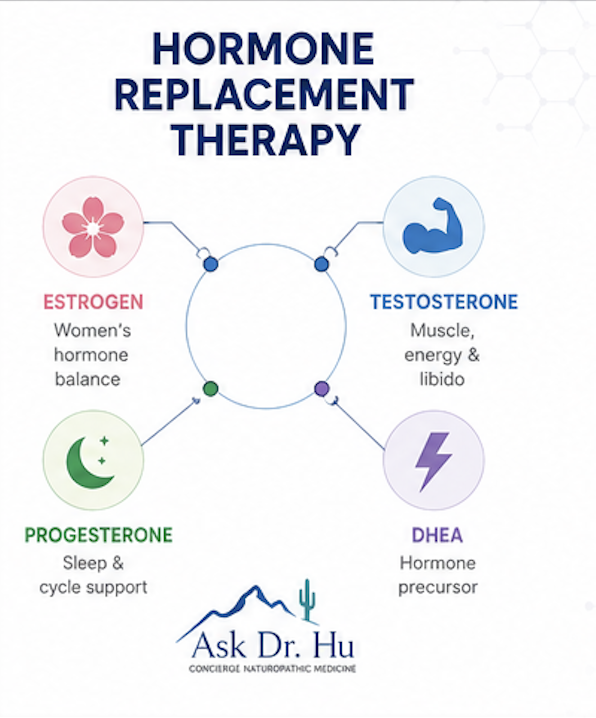 Infographic showing estrogen progesterone testosterone and DHEA used in hormone replacement therapy
