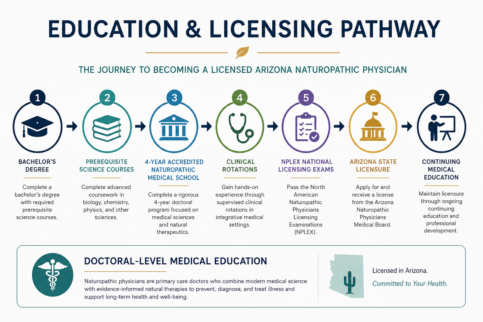 Education and licensing pathway for a licensed naturopathic physician in Arizona