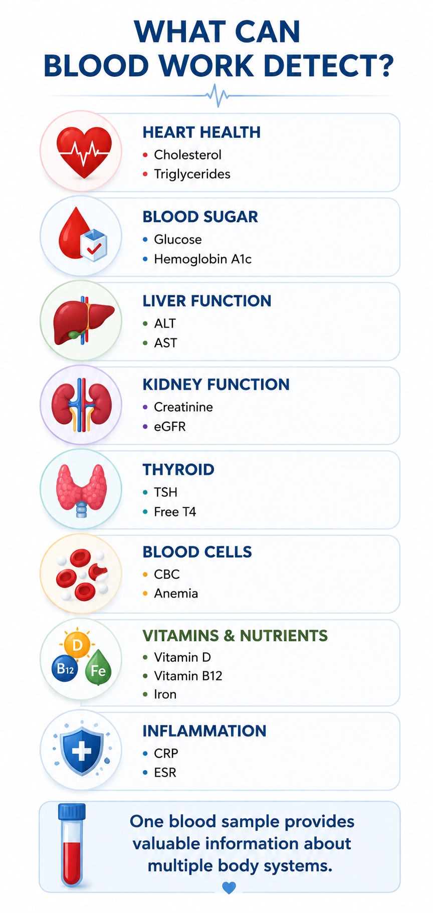 Infographic titled 'What Can Blood Work Detect?' listing various body systems and what blood tests detect for each: heart health with cholesterol and triglycerides, blood sugar with glucose and hemoglobin A1c, liver function with ALT and AST, kidney function with creatinine and eGFR, thyroid with TSH and Free T4, blood cells with CBC and anemia, vitamins and nutrients with vitamin D, B12, iron, inflammation with CRP and ESR. A note at the bottom states one blood sample provides valuable information about multiple body systems.