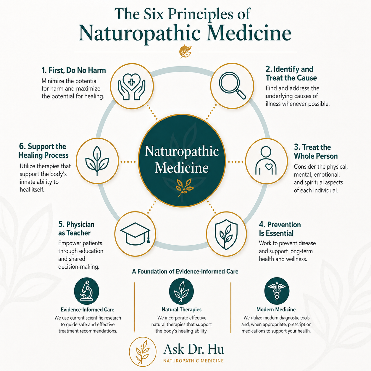 Diagram illustrating the six guiding principles of naturopathic medicine used by licensed Arizona naturopathic physicians.