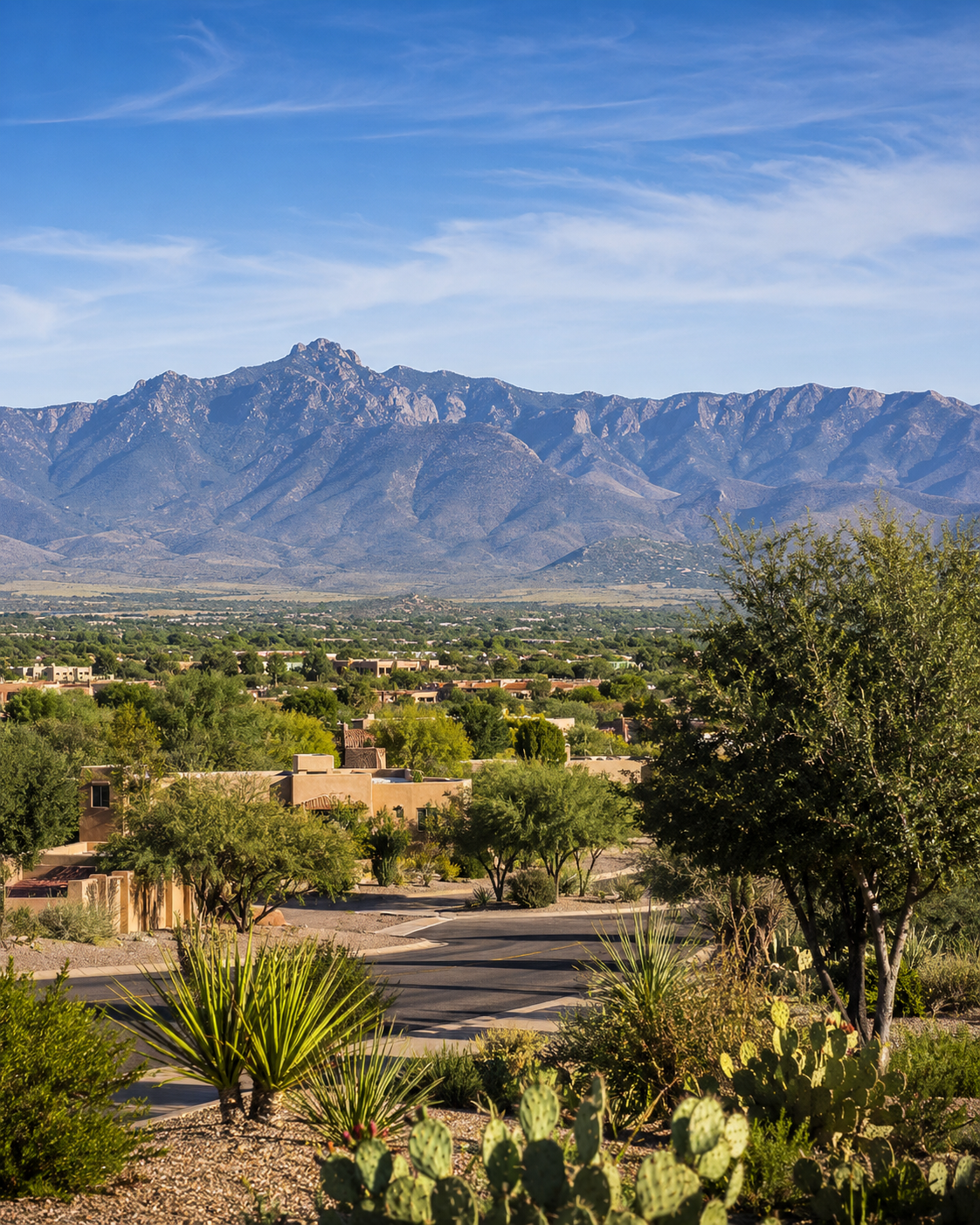 Sierra Vista Arizona and the Huachuca Mountains representing concierge medicine for local patients