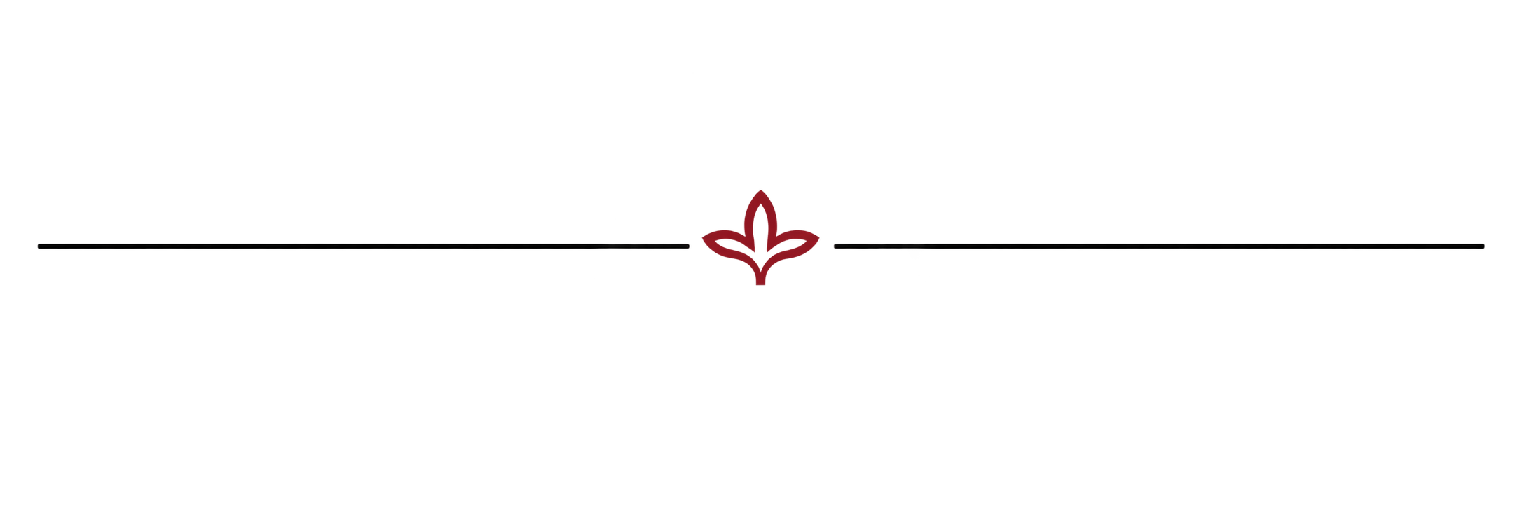 Black background with a red flower logo and the text "TULIP TECHNICAL SOLUTIONS" in black and red.