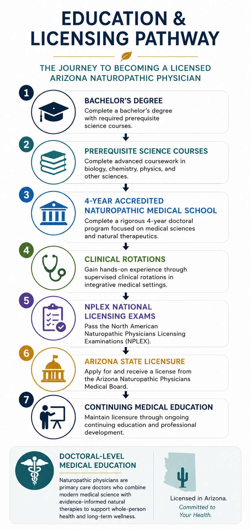 Infographic titled 'Education & Licensing Pathway' outlining steps to become a licensed Arizona naturopathic physician, including education, clinical rotations, exams, licensing, and continuing education.