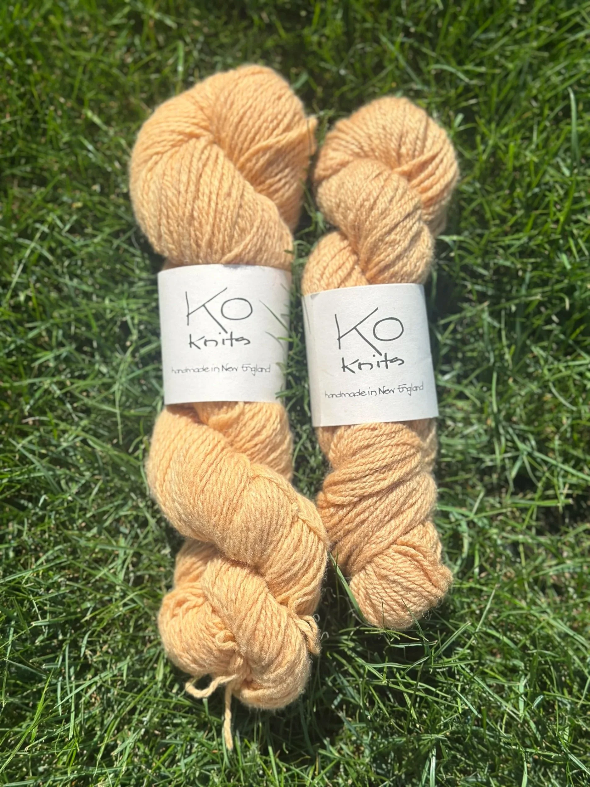Jewelweed Dyed Yarn