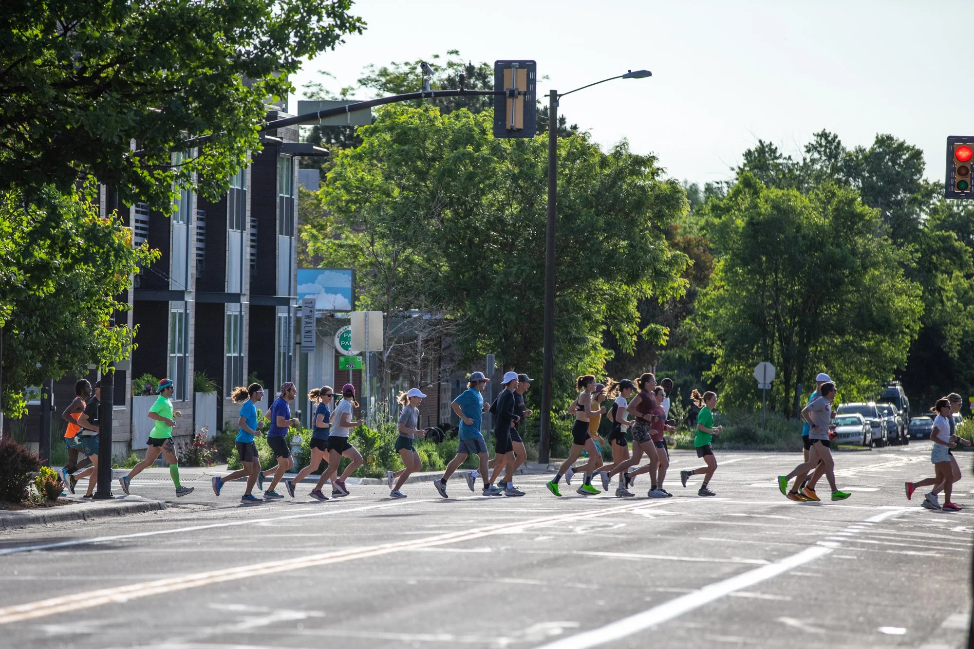 A group of marathon runners jogging through a city street with green trees and modern buildings in the background, in bright daylight.