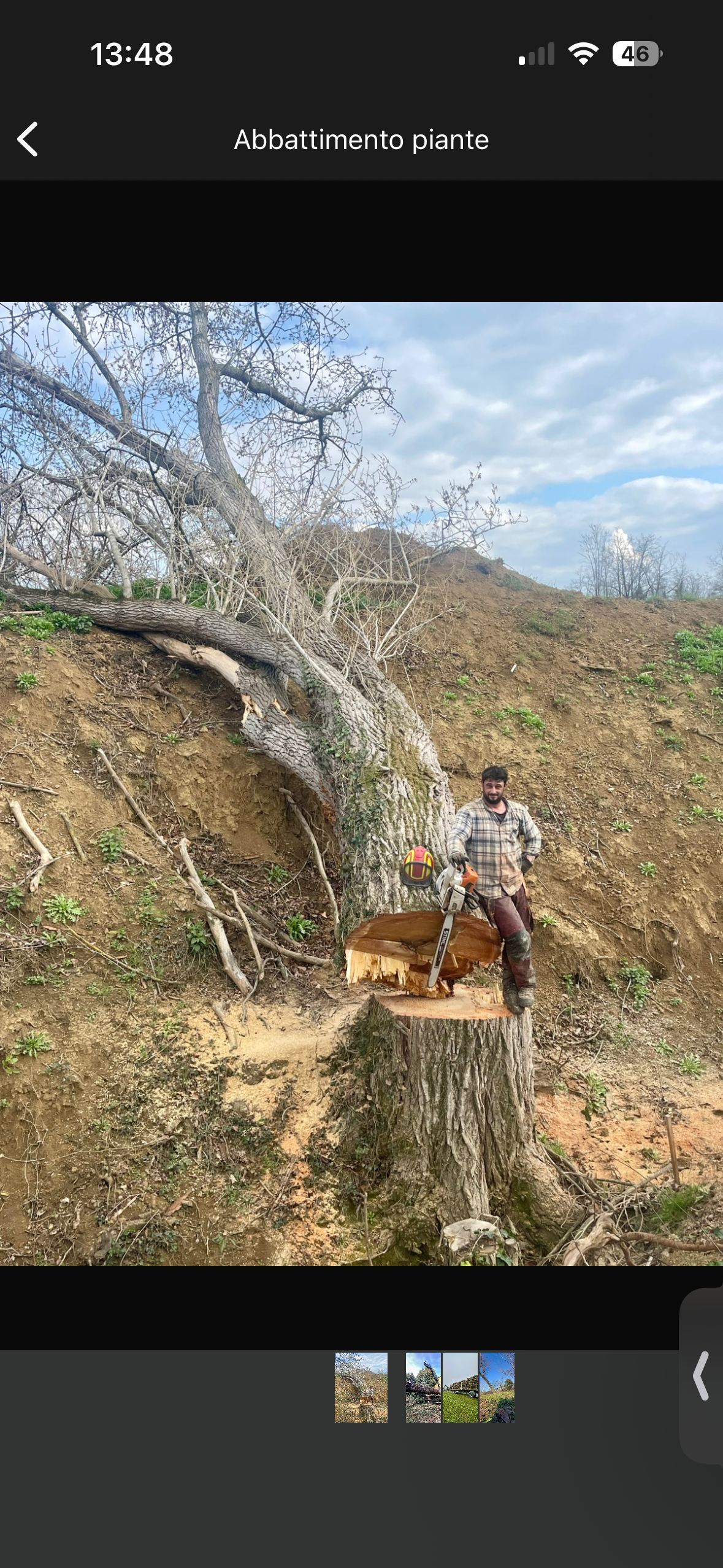 Uomo con attrezzatura da albero di fronte a un albero abbattuto in una collina