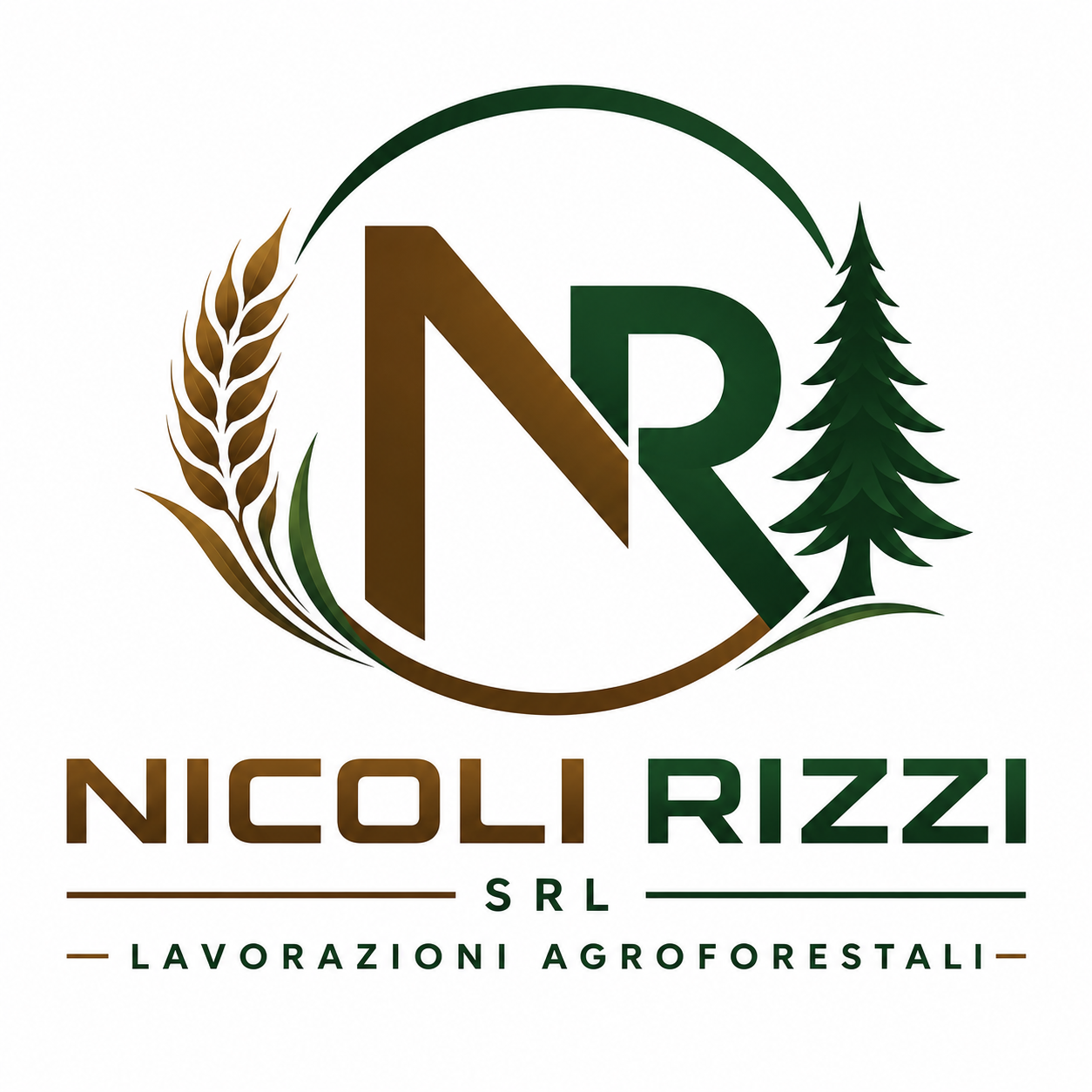 NICOLI RIZZI SRL
