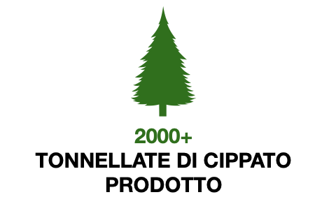 Albero stilizzato verde, testo '2000+ Tonnellate di cippato prodotto' in bianco e nero.