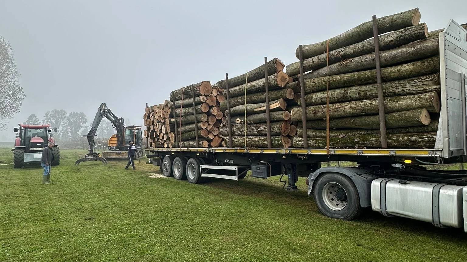 Camion carico di tronchi di legno in un campo, con due persone e una gru che movimentano il materiale.