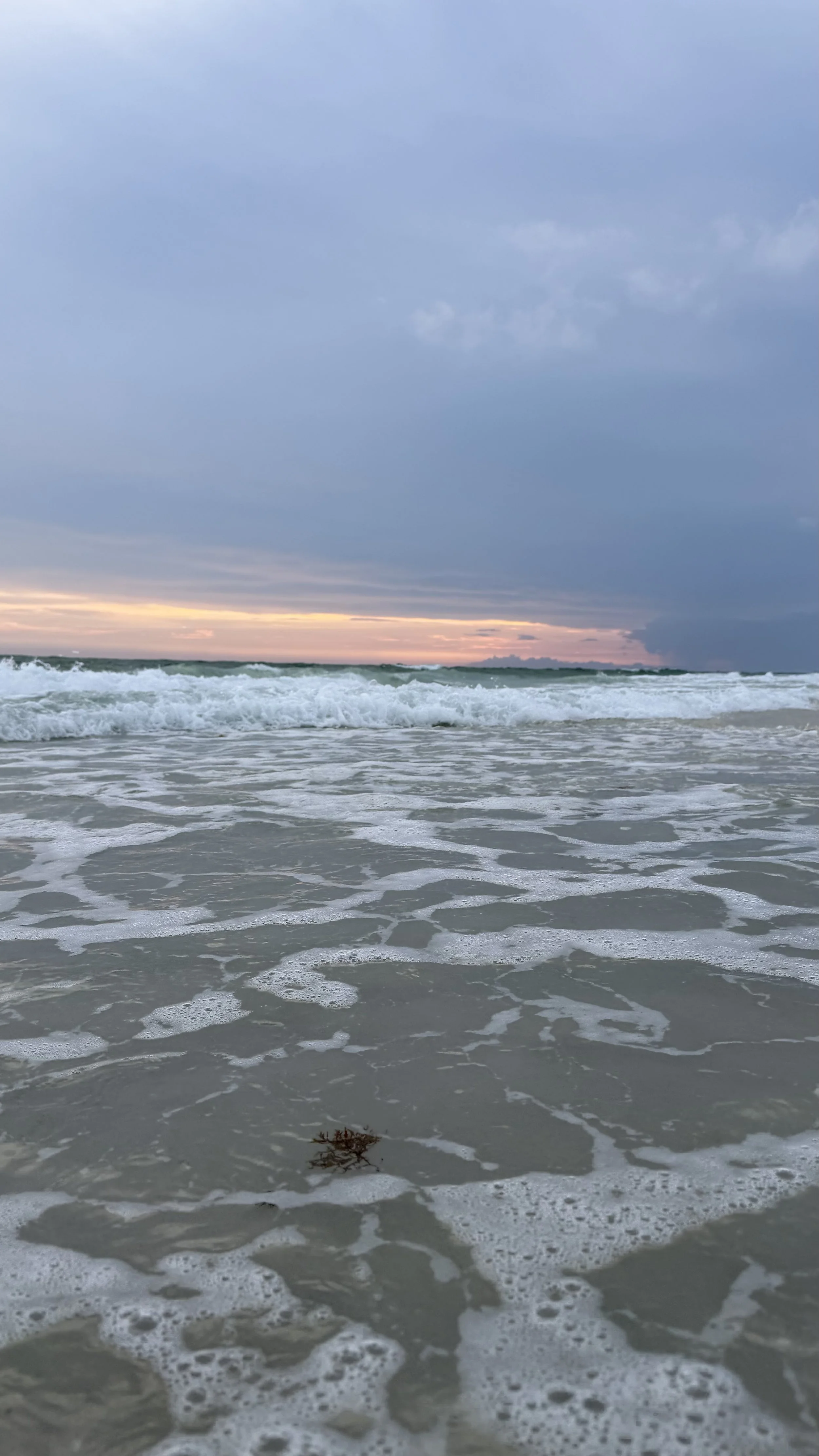 IMG_5908.jpeg