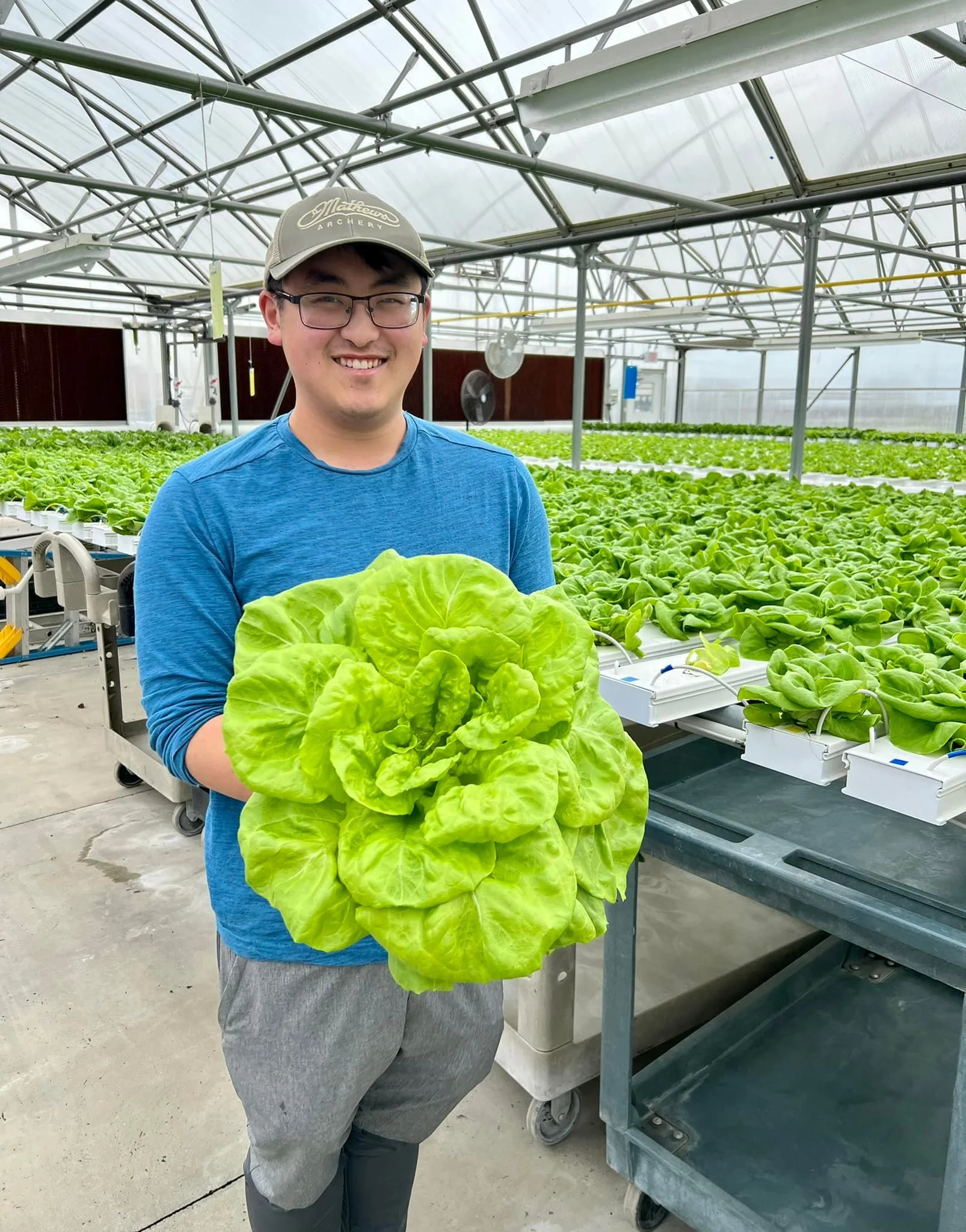 A man in a baseball cap and glasses holding a large head of green lettuce inside a greenhouse filled with rows of lettuce plants.