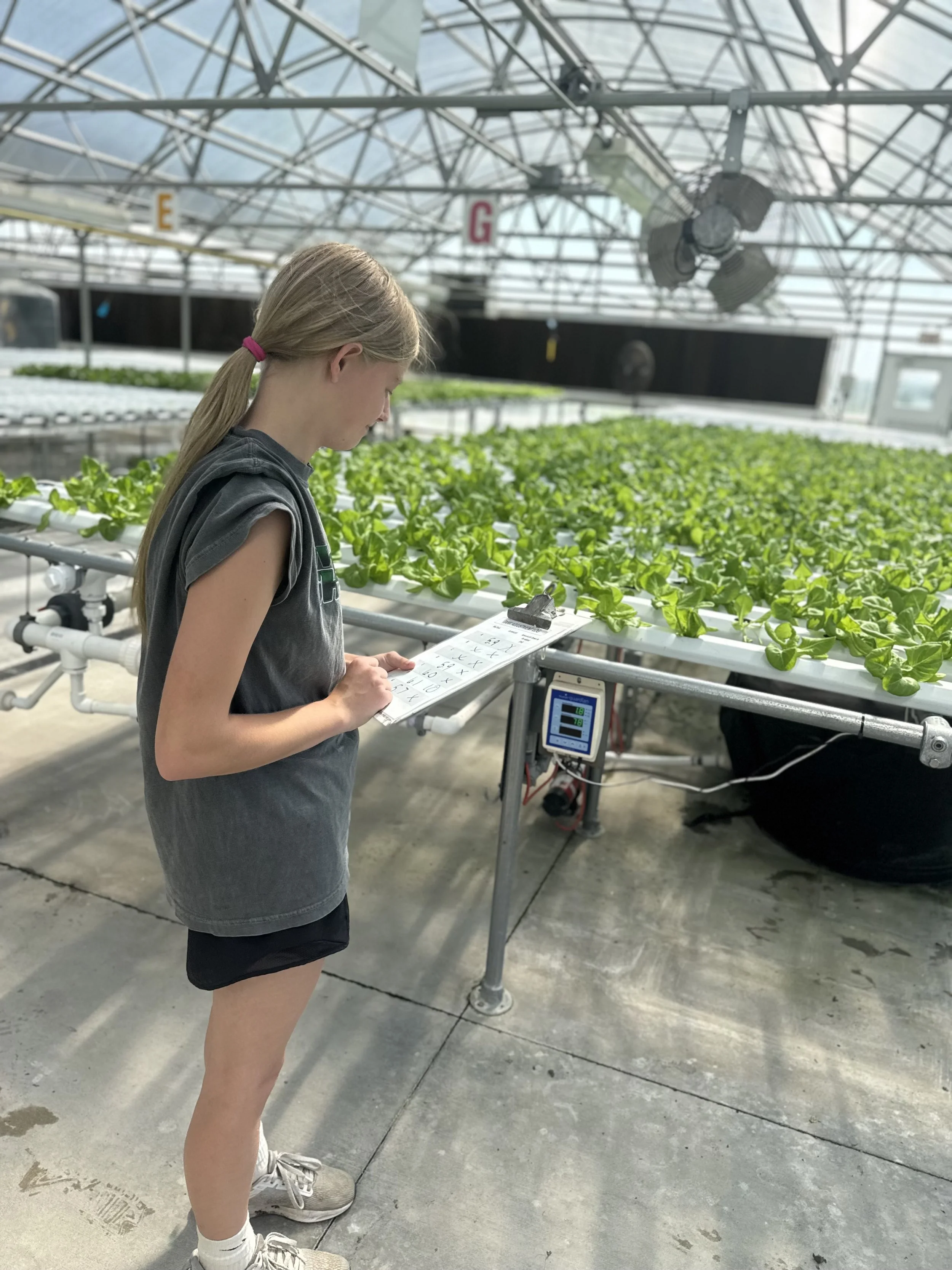 A girl wearing a grey t-shirt and shorts, stands in a greenhouse with a clipboard examining lettuce. The greenhouse contains rows of lettuce plants. Overhead are large fans and metal supports, with signs labeled 'E' and 'G' hanging from the ceiling.