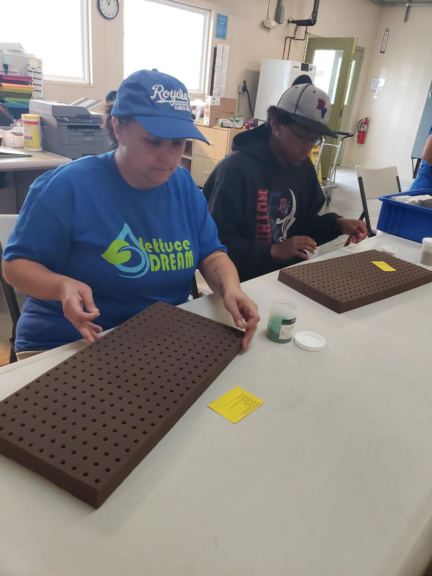 Two people sitting at a table, placing lettuce seeds into a brown textured mat in front of them. One person is wearing a blue cap and a blue T-shirt, and the other is wearing a gray cap and a black hoodie.