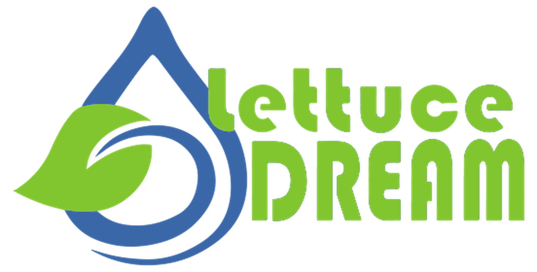Logo with a green leaf, a stylized blue water droplet, and the words 'Lettuce Dream' in green text.