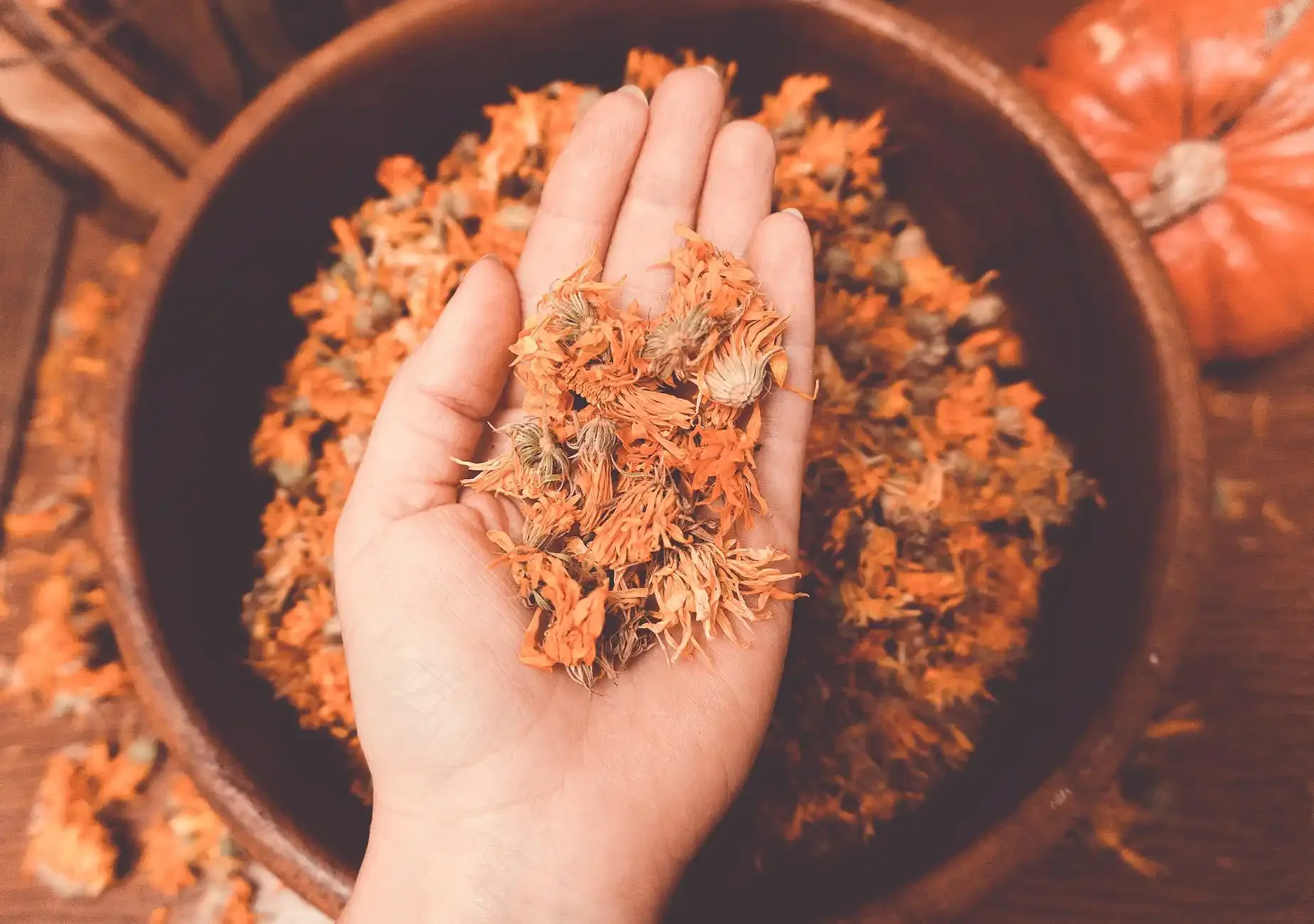 Calendula-Infused Jojoba Oil Salves: Nature’s Healing Power in a Jar