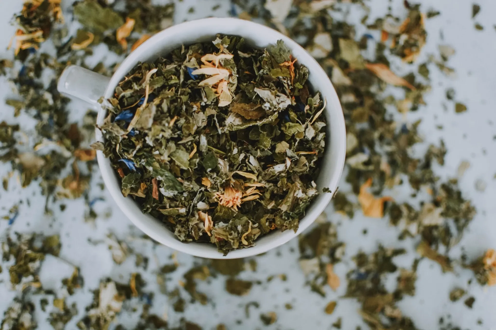 Natural Healing with Homemade Arnica-Infused Jojoba Oil Salves