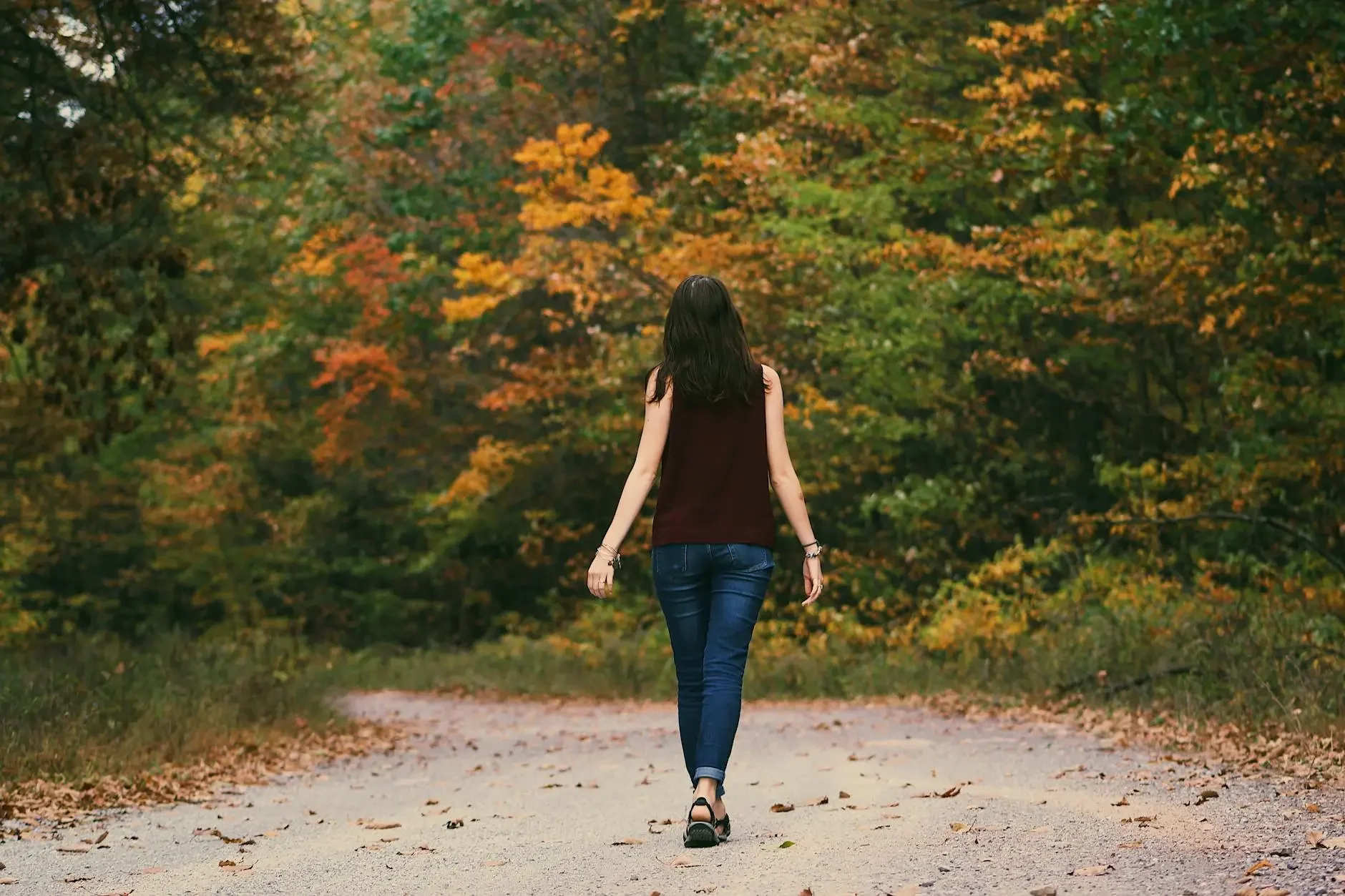 Rediscovering Wholeness: A Journey through Soul Retrieval