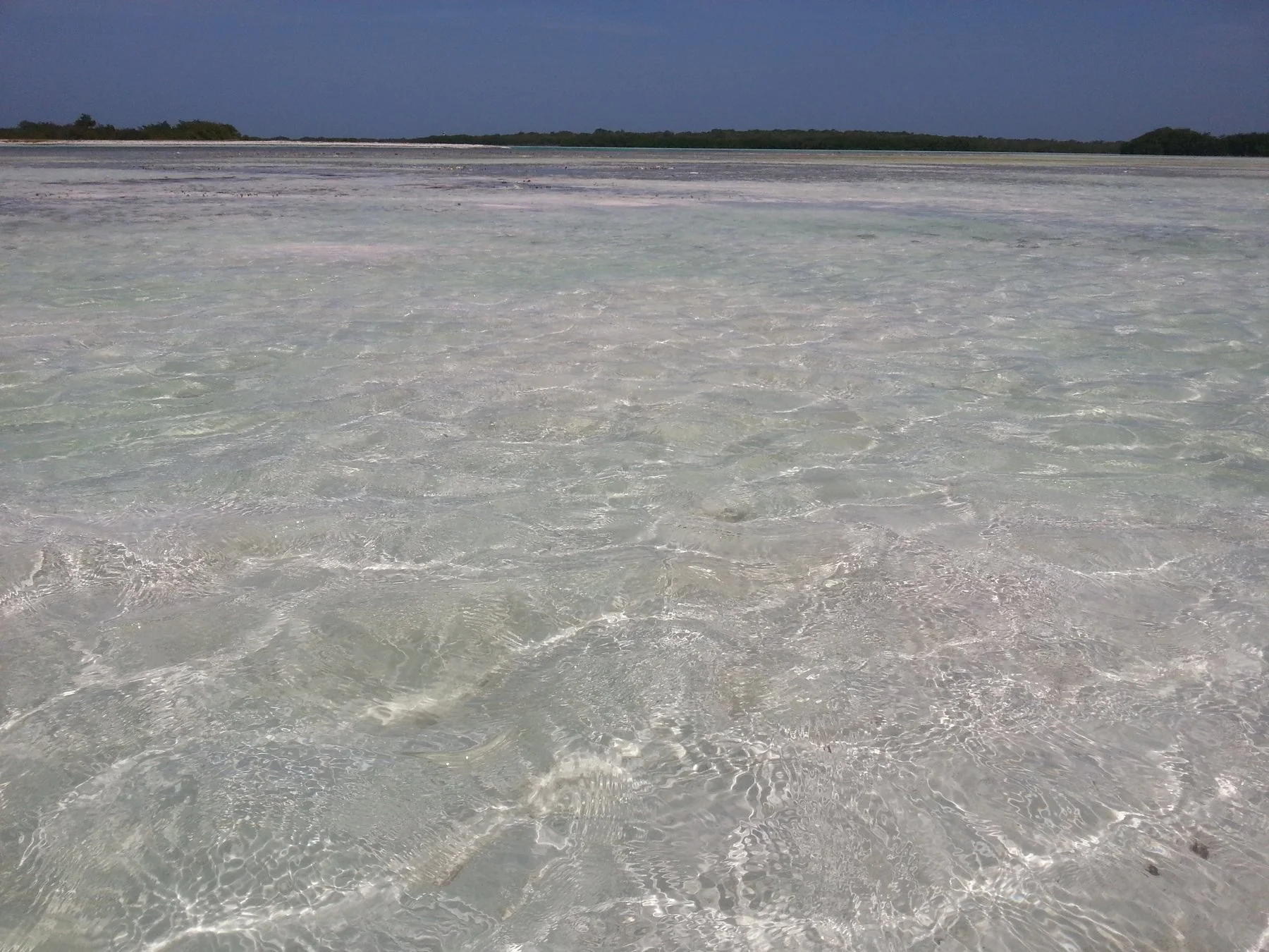 Aguas cristalinas y transparentes en Los Roques