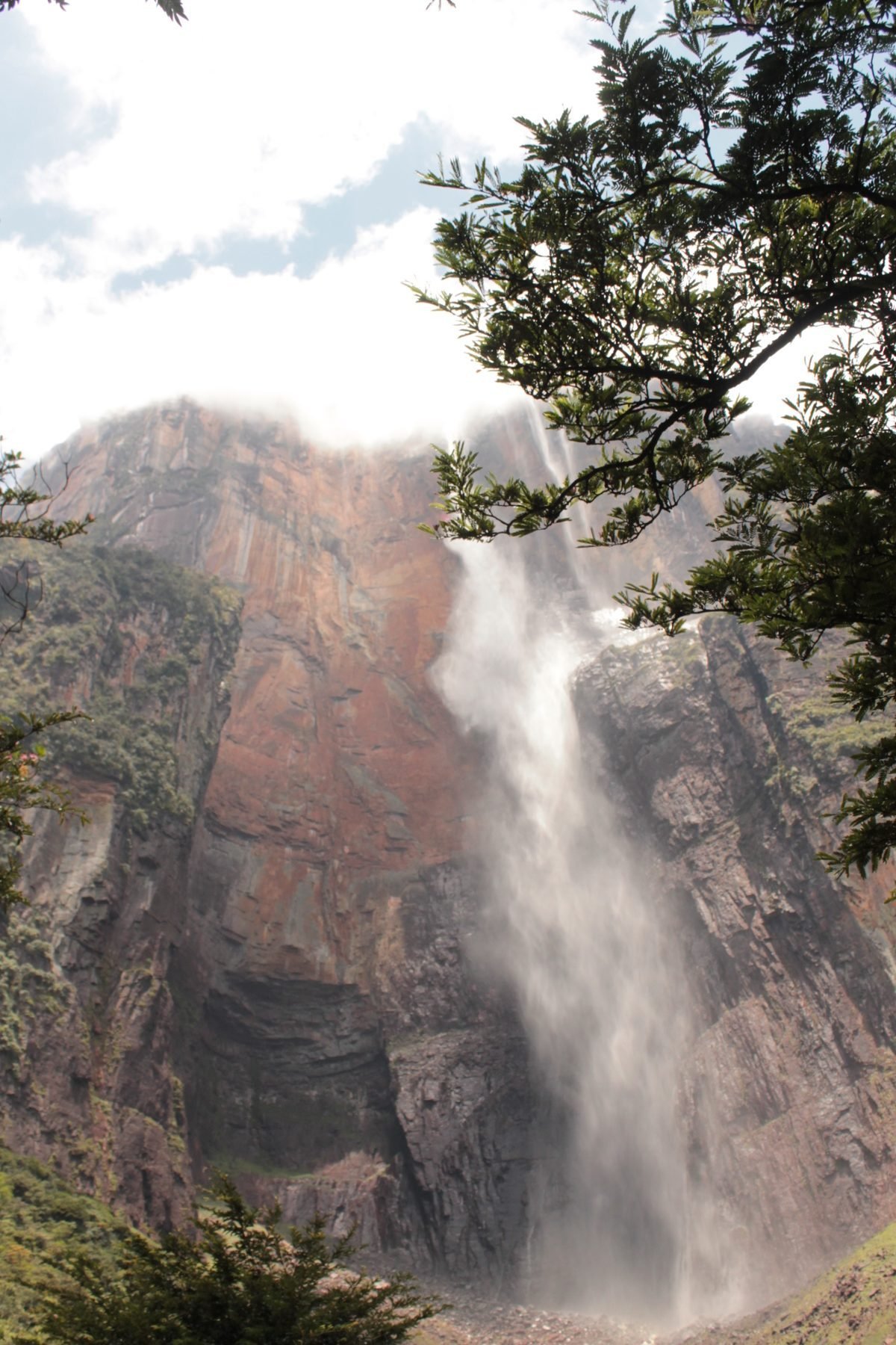Canaima y el Salto Ángel — desde Caracas
