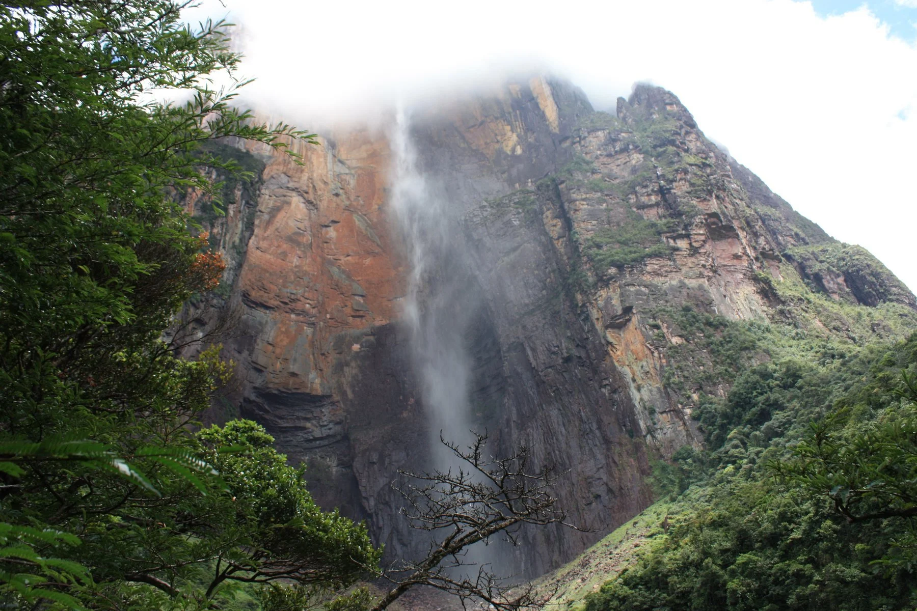 El Salto Angel enmarcado por la selva de Canaima