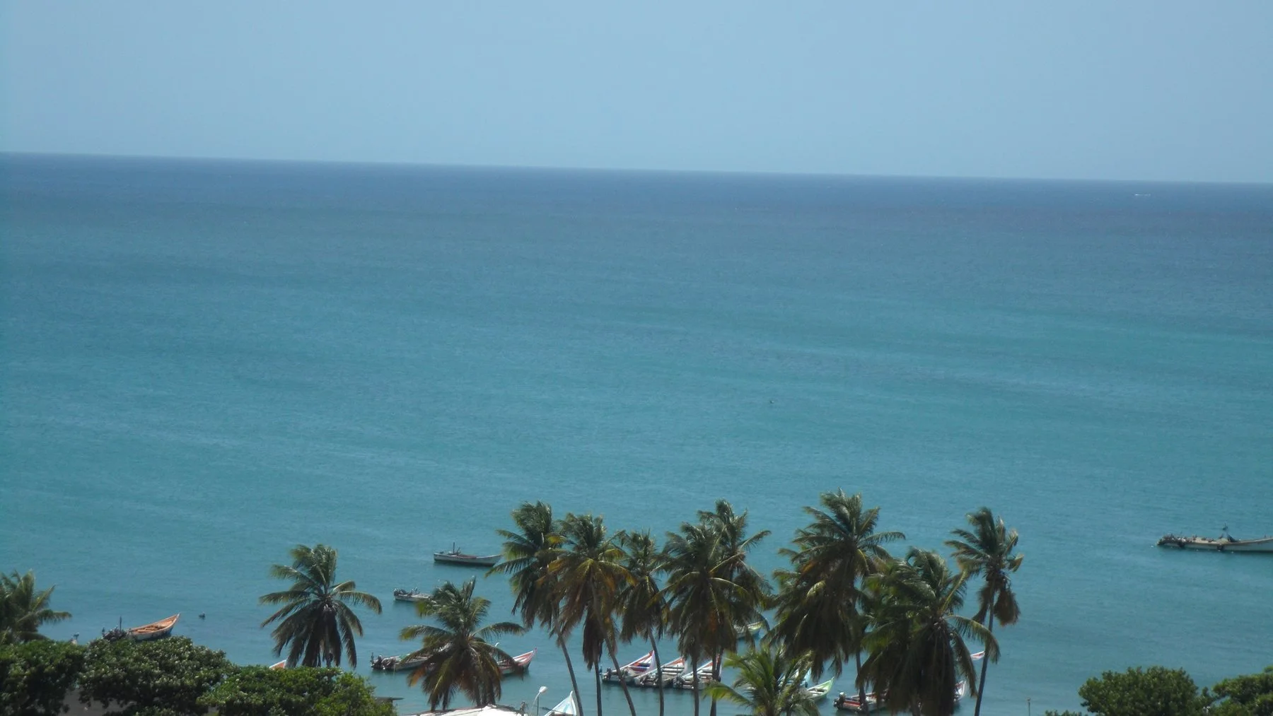 Bahia con cocoteros y peneros, Isla de Margarita