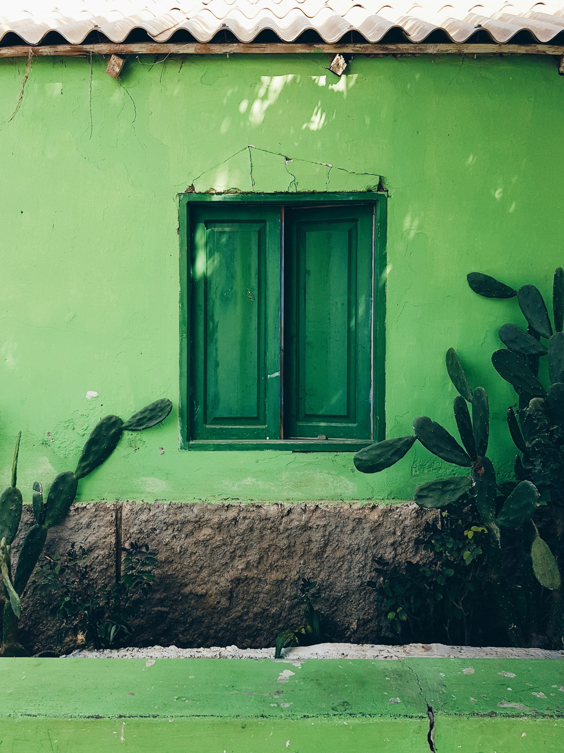 Green house wall with a window, cracks, and some plants in front.