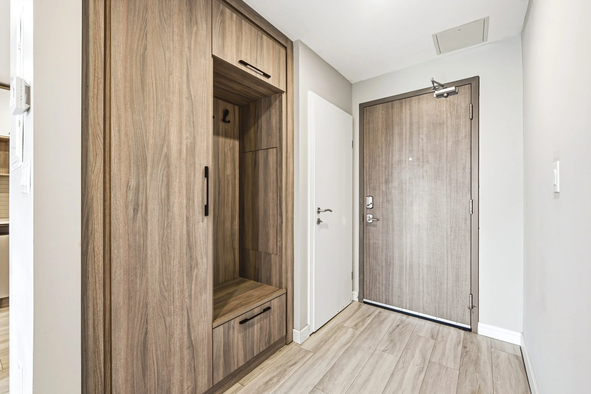 A modern entryway with a large wooden closet and a beige door with a mesh screen.