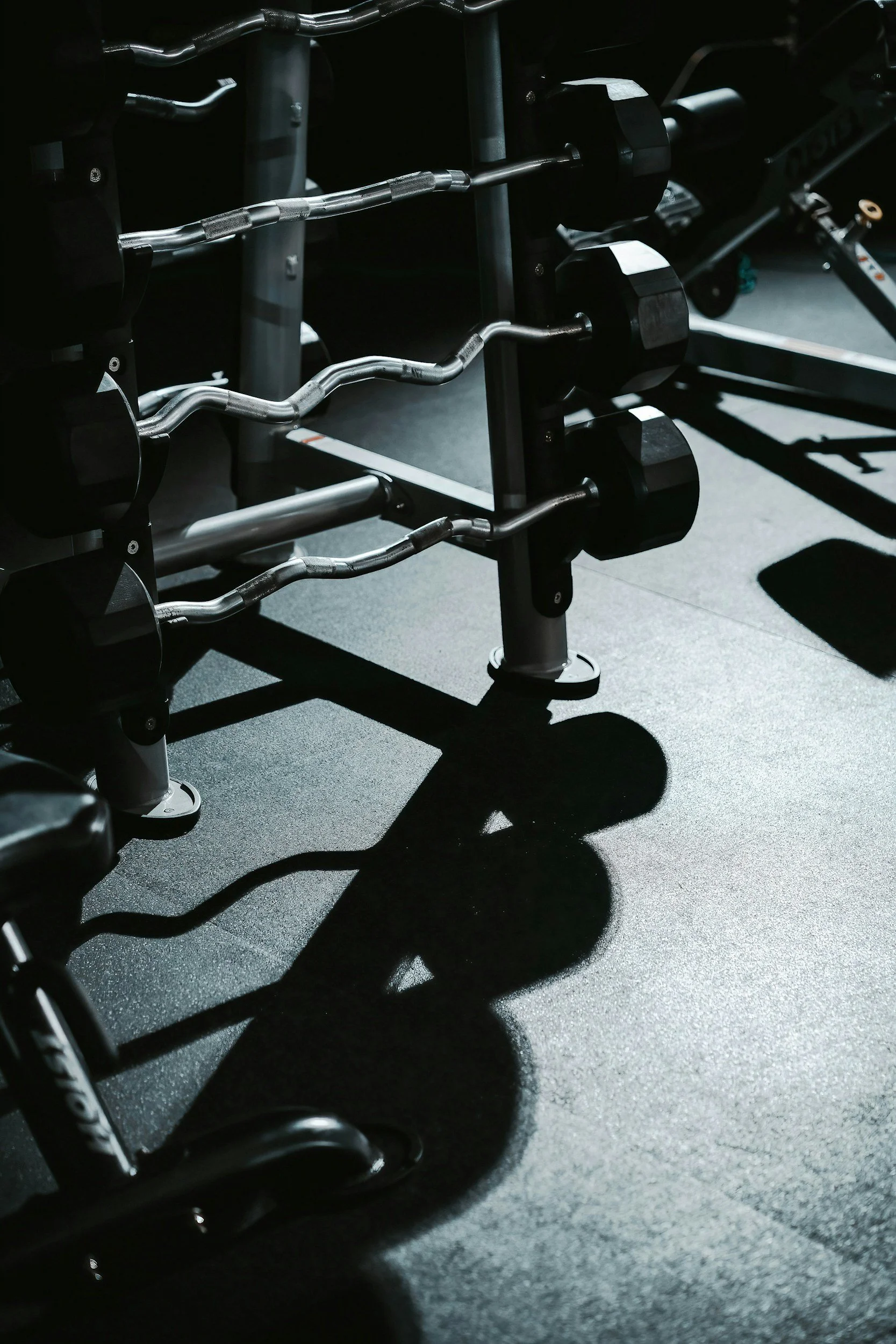 A set of dumbbells on a rack in a gym with shadows cast on the floor.