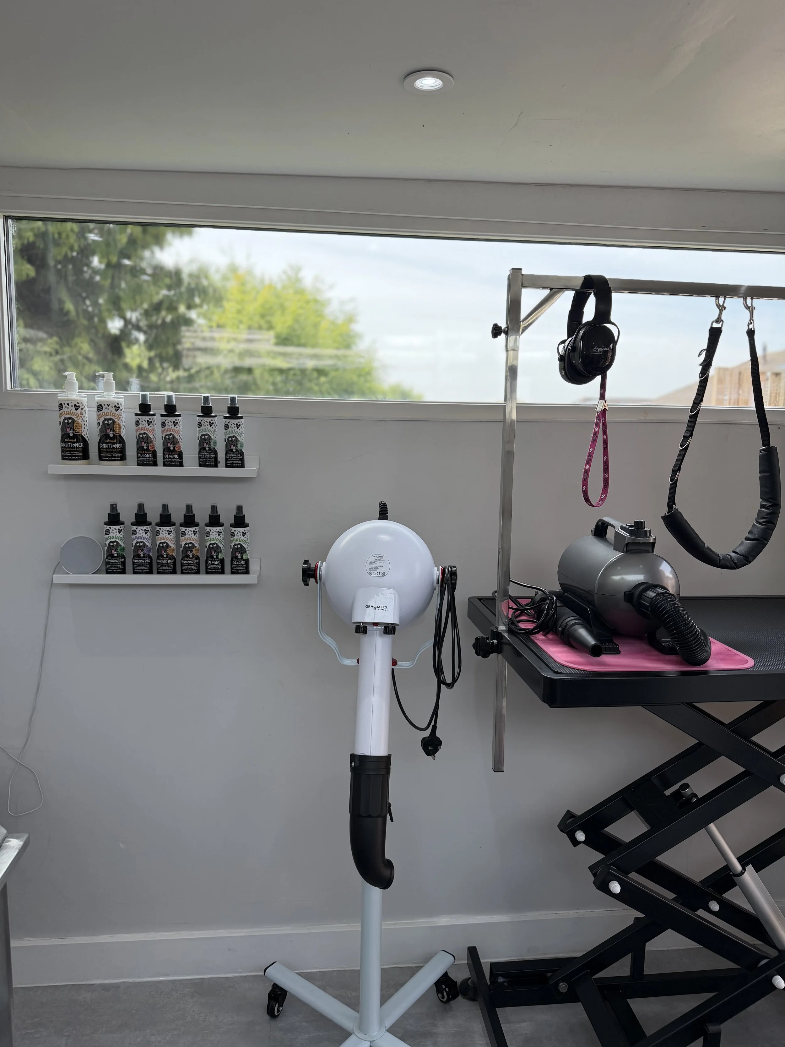 A grooming station with a grooming arm on a stand, grooming loop, black grooming dryer, and a scissor lift table. Mounted on the wall is a shelf holding bottles of grooming products.