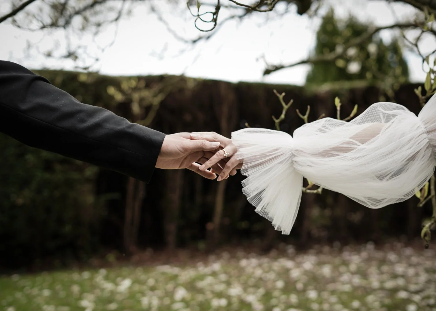 Person in a black suit holding the hand of someone in a white wedding dress outdoors, with tree branches in the background.