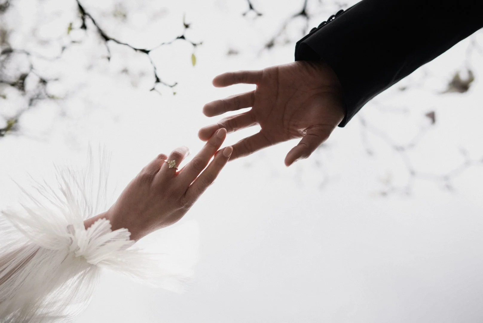 A woman with a white feathered sleeve reaching out to a man with a dark suit, both extending their hands towards each other in an outdoor setting with overcast sky and tree branches in the background.