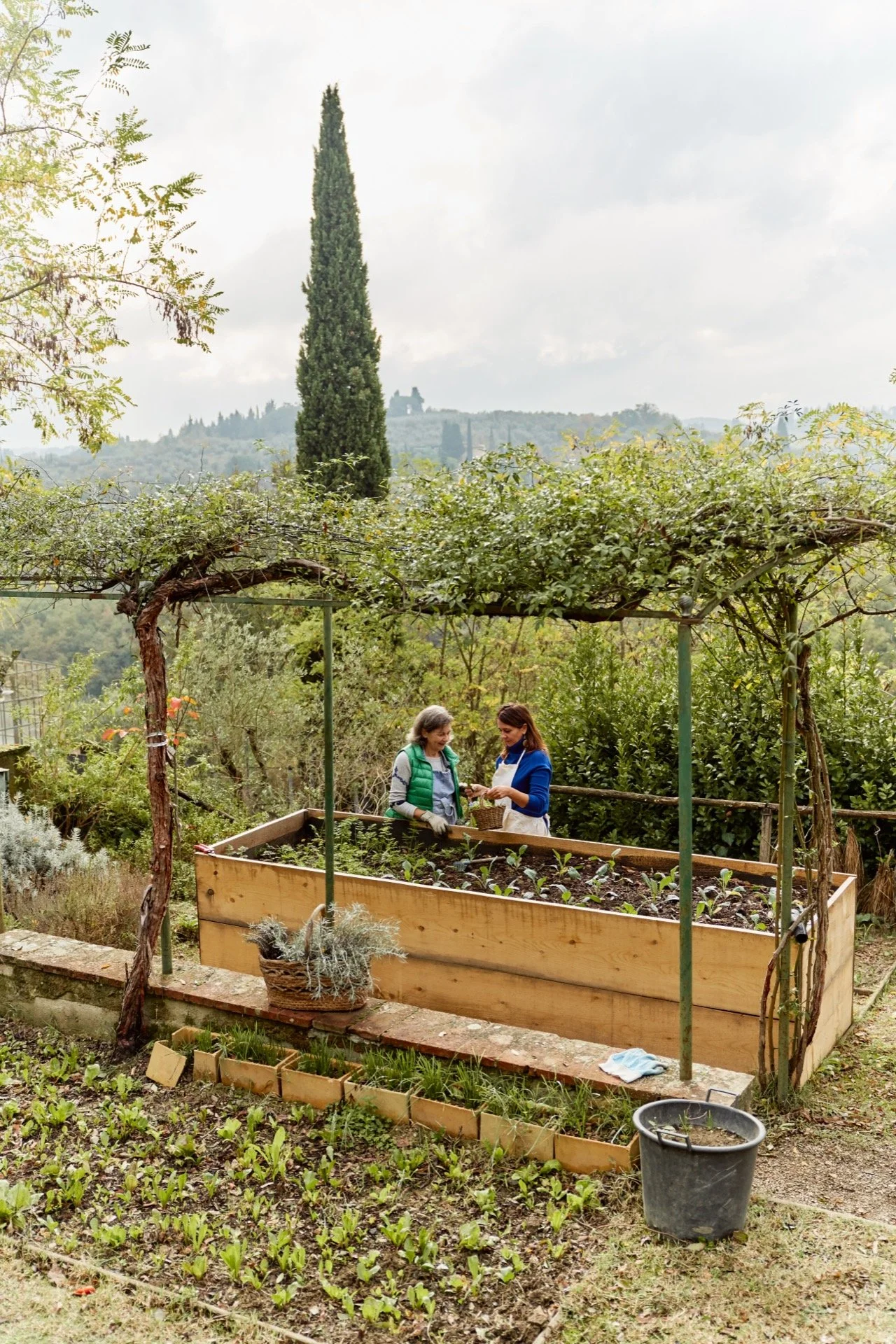PJO0031318Q403_My-Plus-Homes_Florence_2018-November-05-2391.jpg