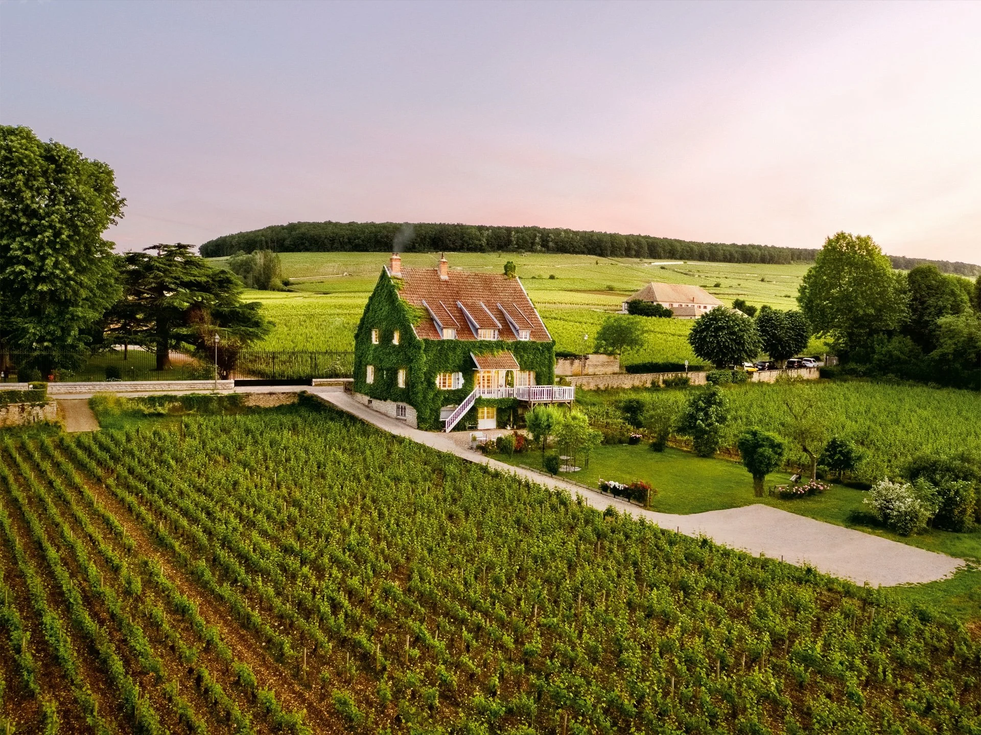 Therin_Aloxe-Corton_13094276-00846_v7cmy_XL_FNL.jpeg