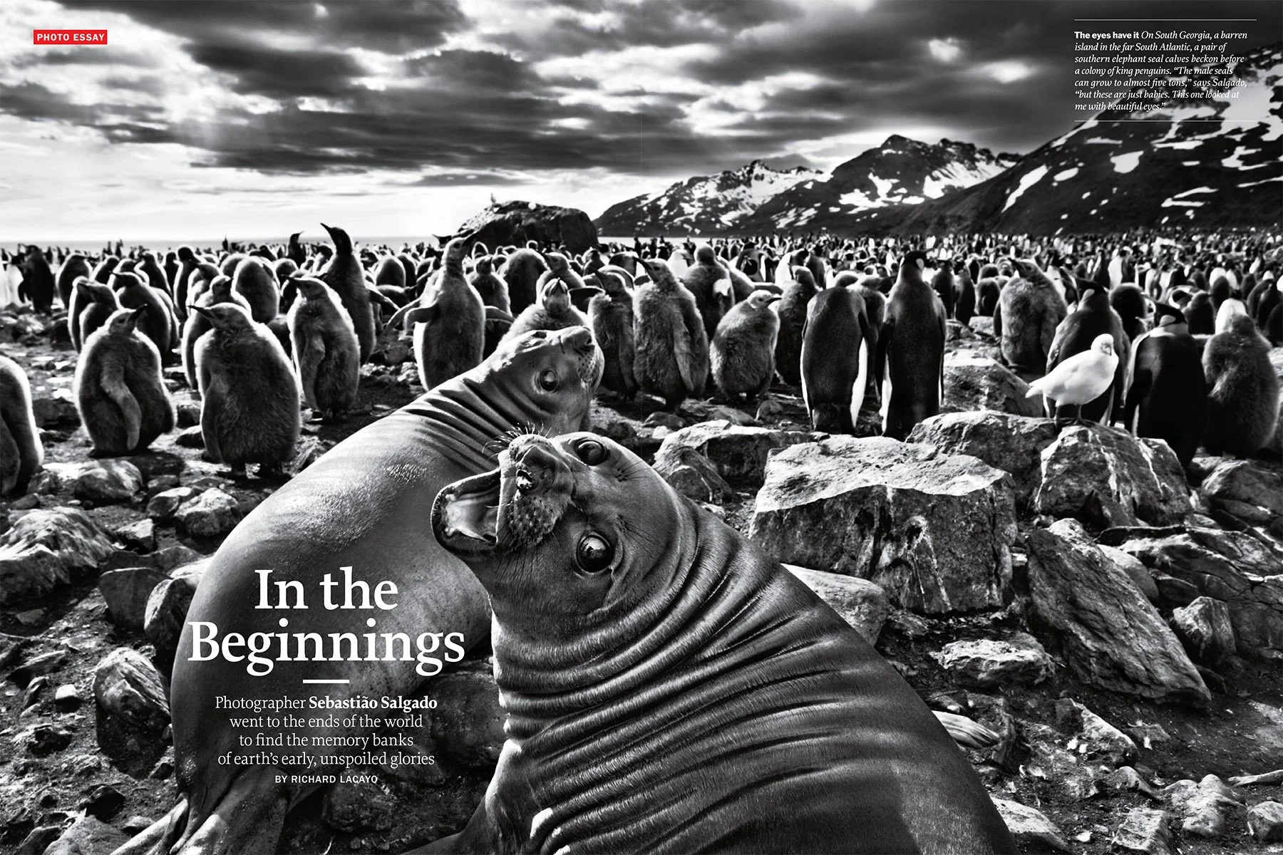 TIME_20130408_30_797722_ARTICLE-1.jpg