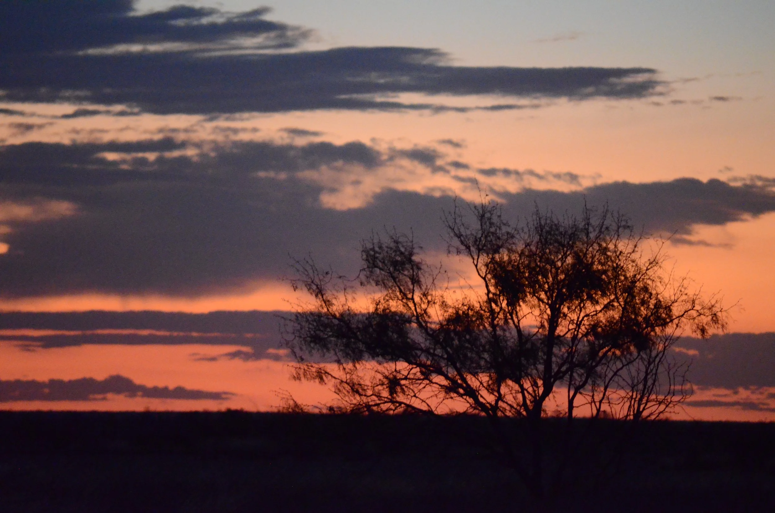 Burn Line:
The last color of the day, right before the sky gives up on it.