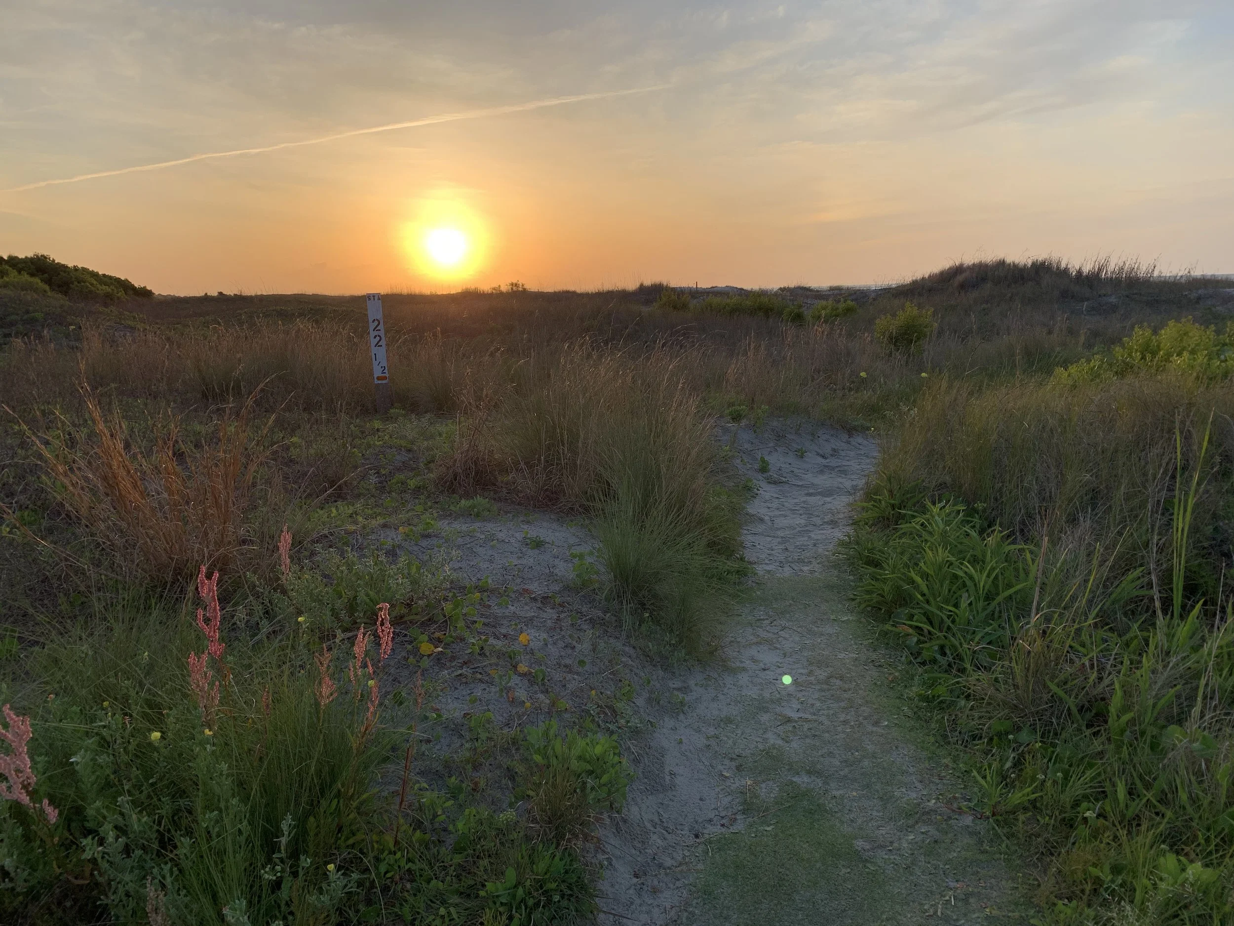 Happily Ever After (beach path, sunset)
Charleston, South Carolina, our honeymoon. The walk to the water mattered as much as the water itself.