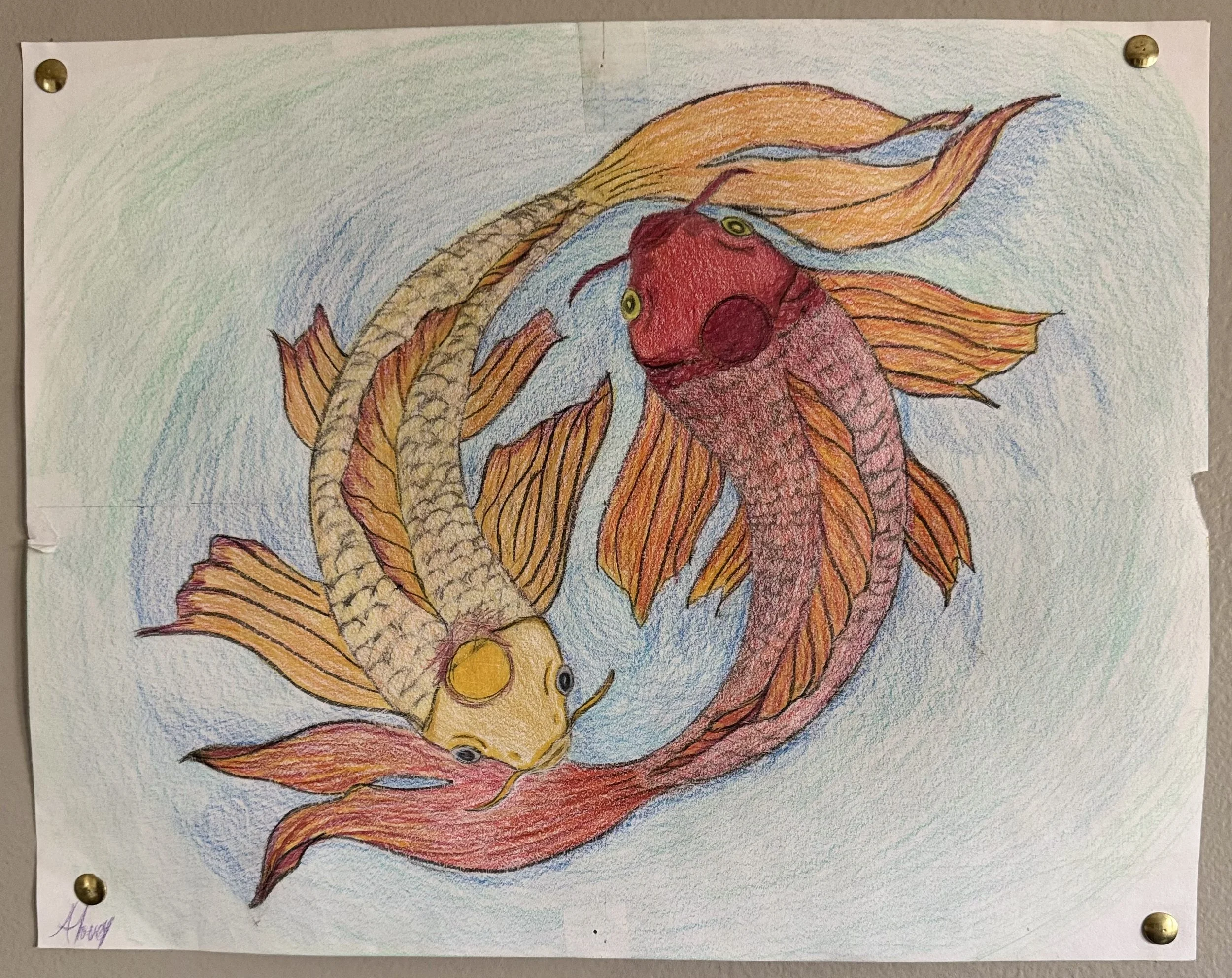 Two Koi:
Colored pencil. A pair chasing each other in a circle that never quite closes.