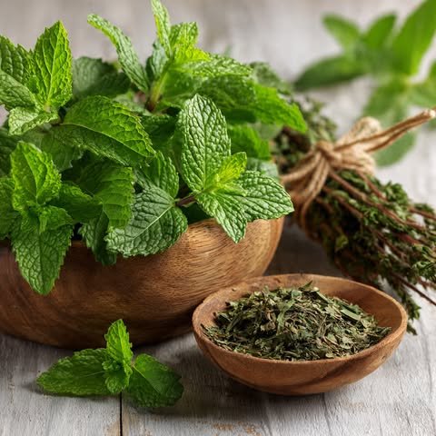 peppermint.jpg