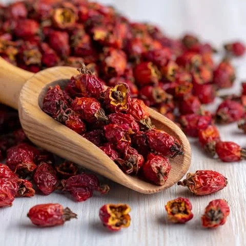 rose hips.jpg