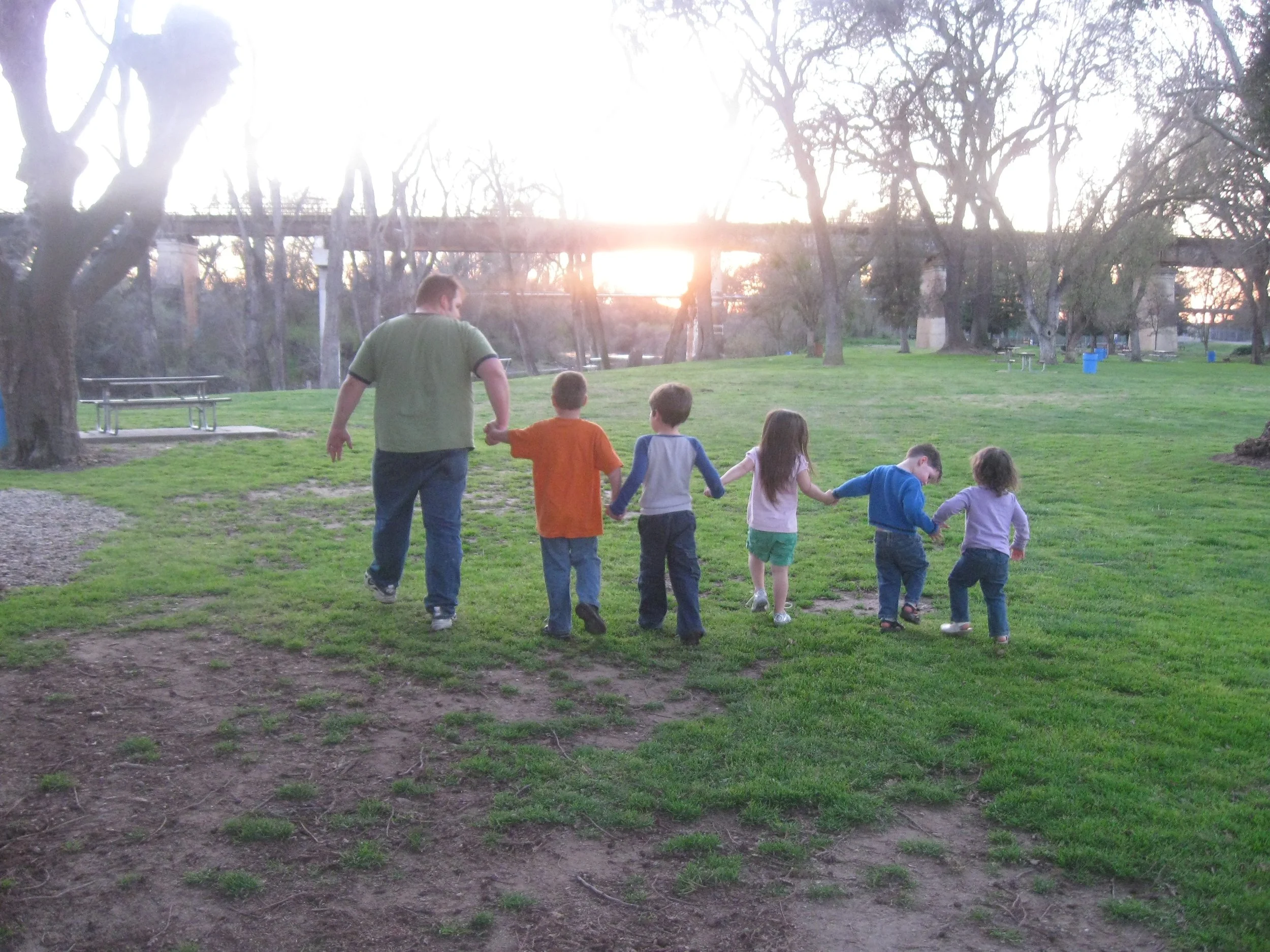 A group of six children and an adult are holding hands and walking in a park during sunset. The park has large trees, green grass, and picnic tables.
