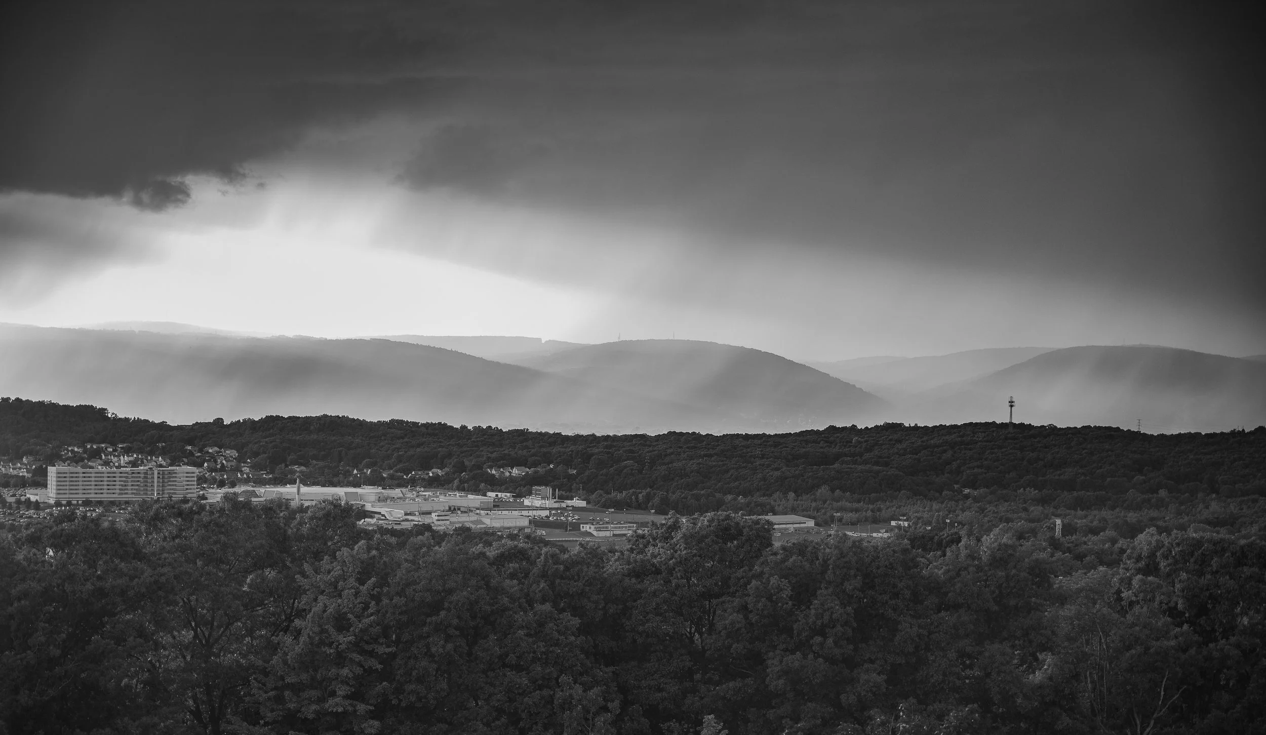 DSC_0061.jpg