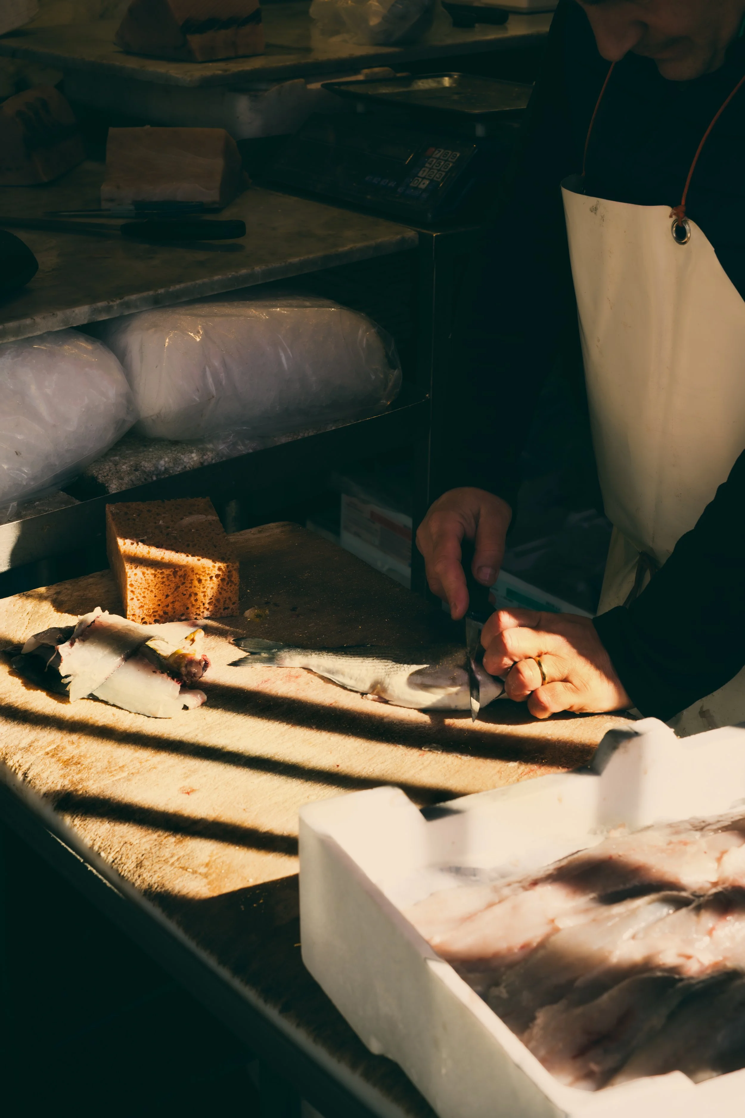 fish_market1.jpg
