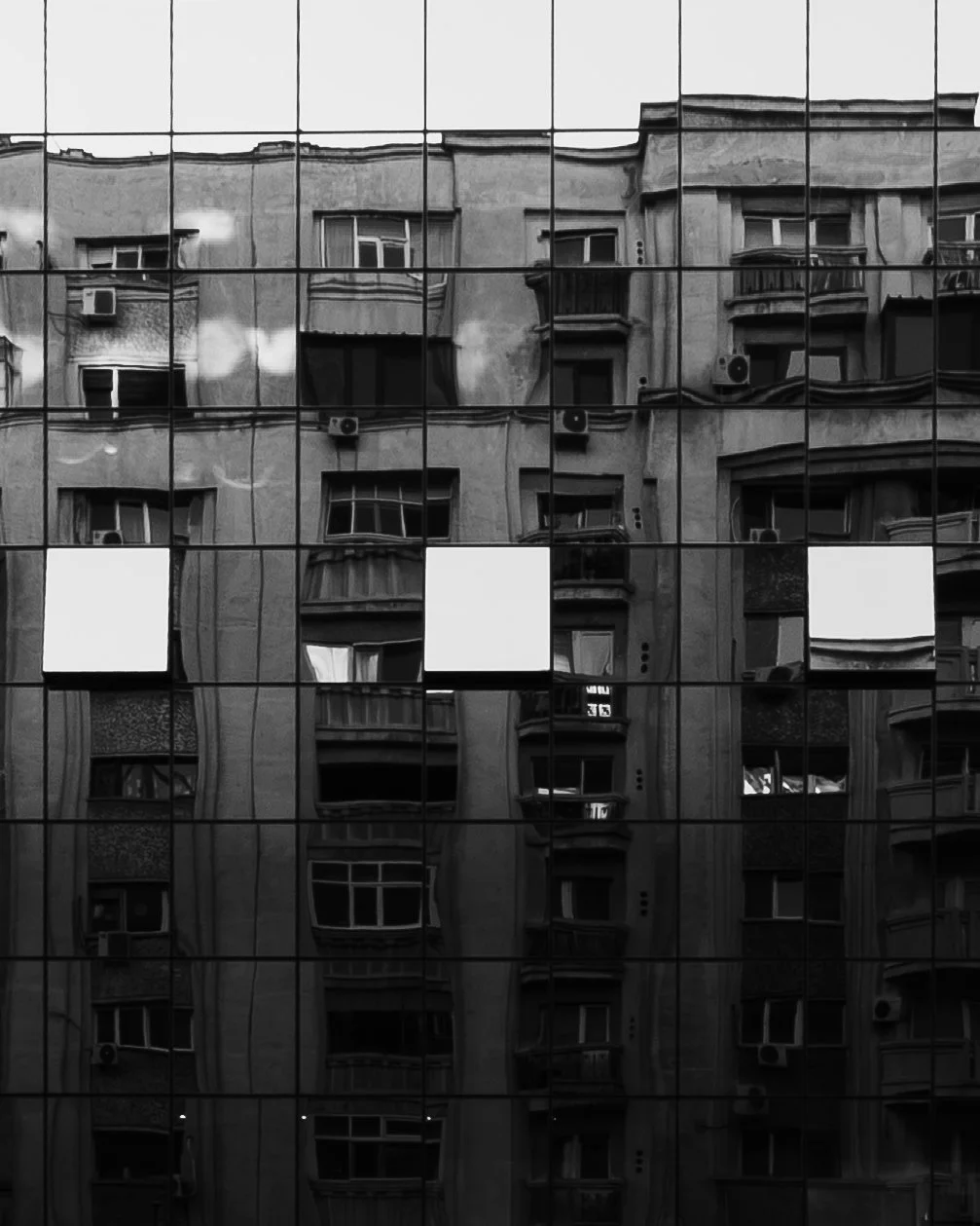 _DSC8987.jpg