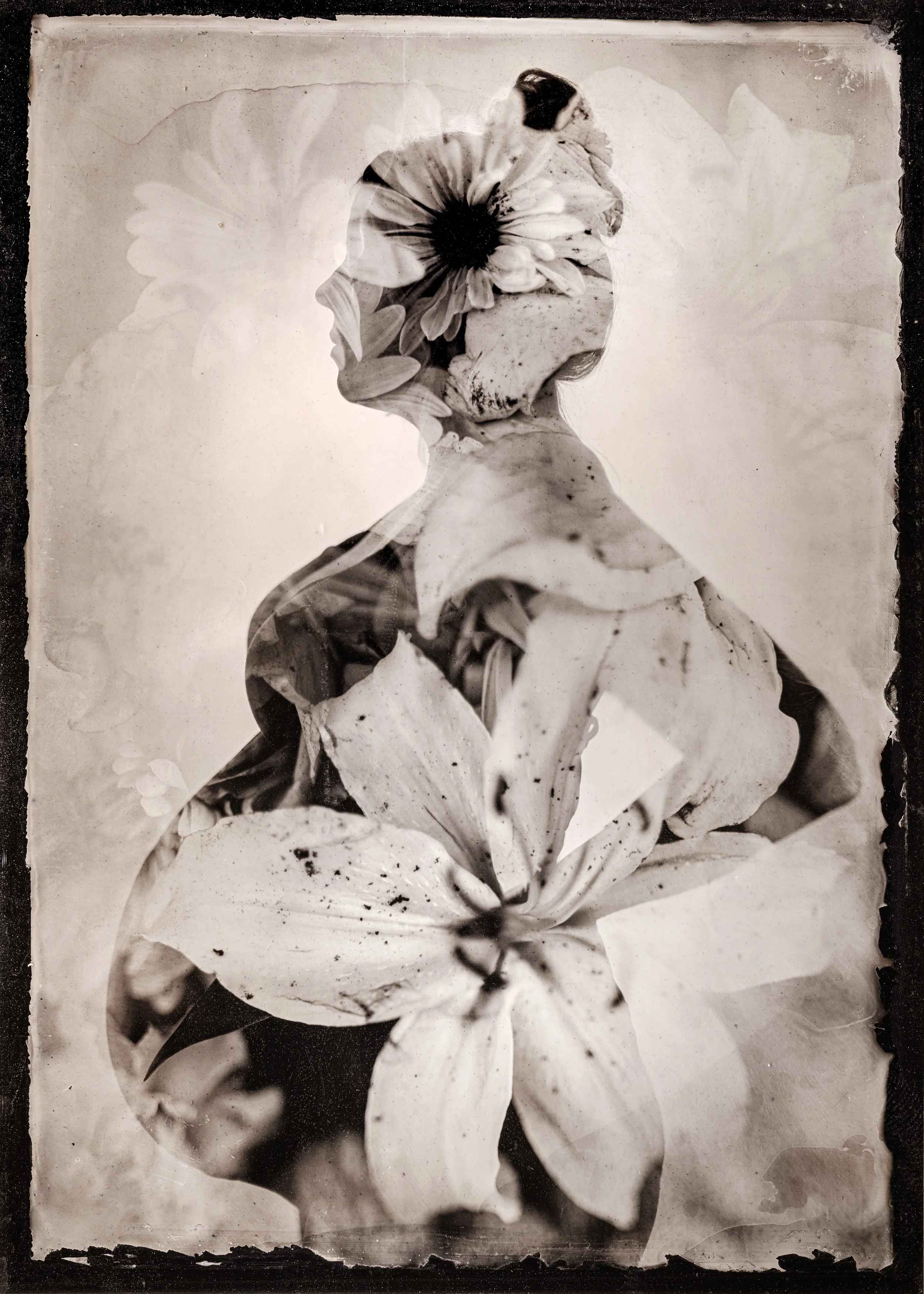 The Soft Triumph of a Woman