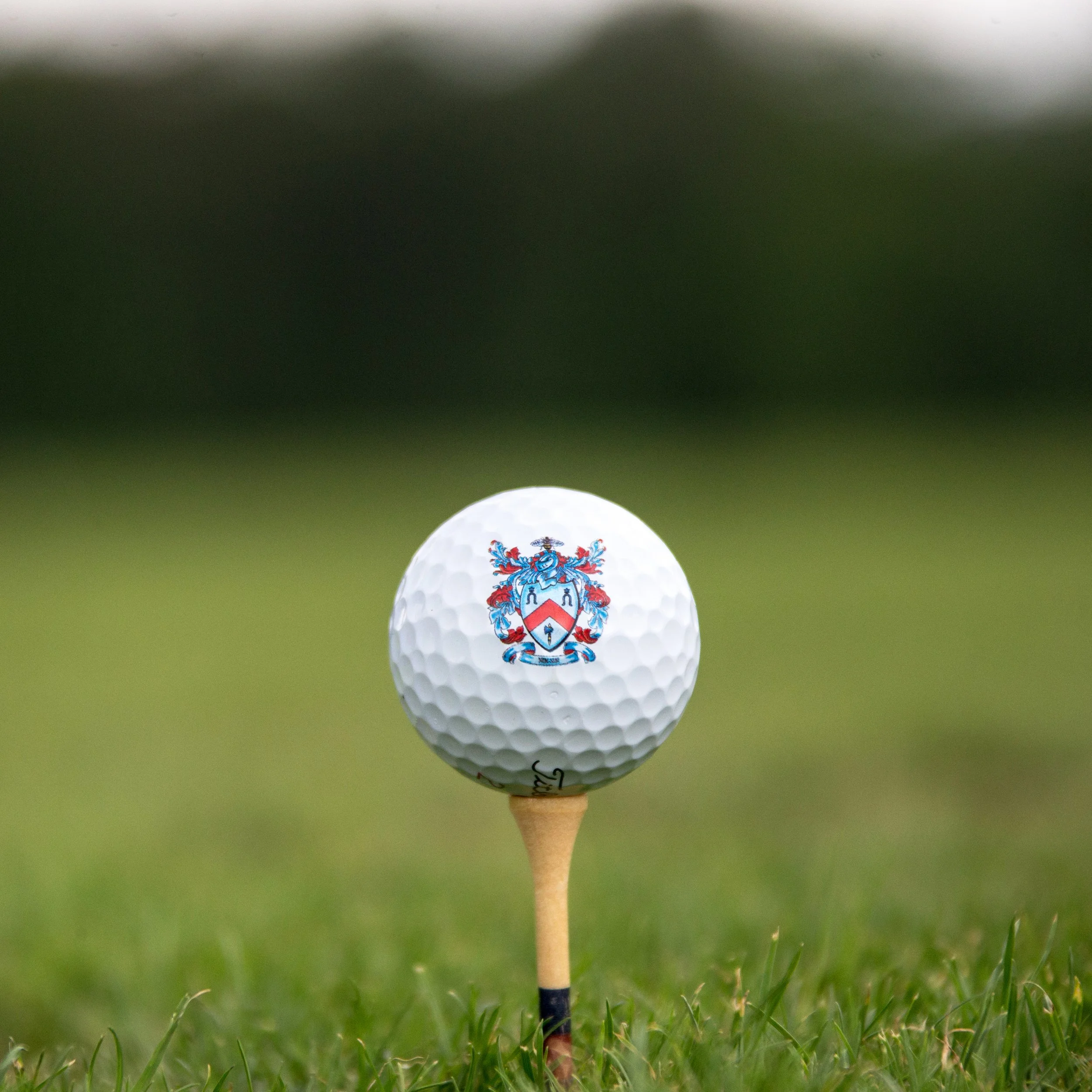 Close-up of a golf ball with a colorful crest on it, placed on an orange tee embedded in green grass
