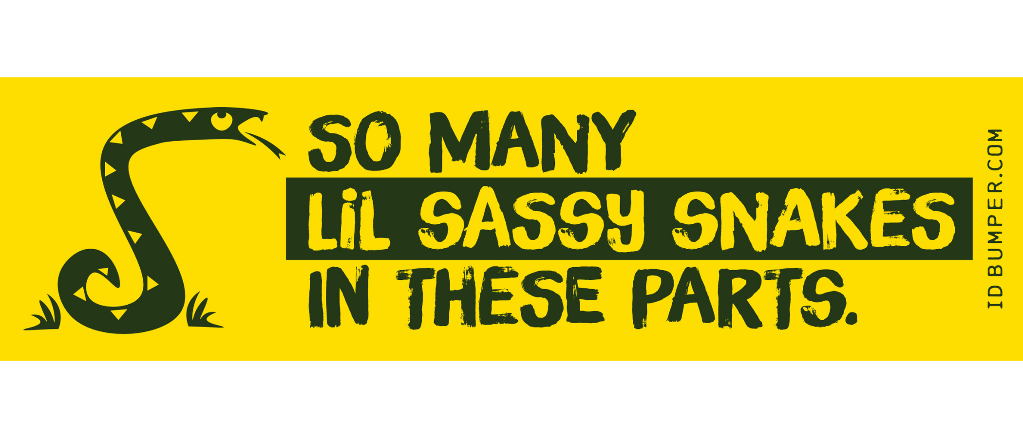 SASSY SNAKES