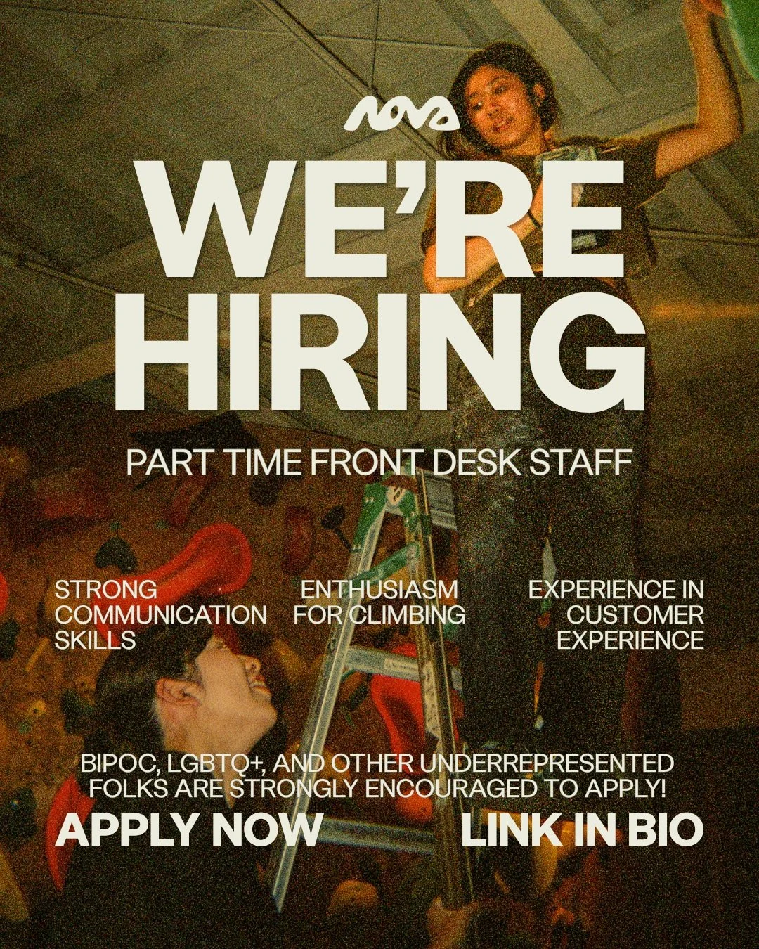 Want to join our team? Link in bio ✨